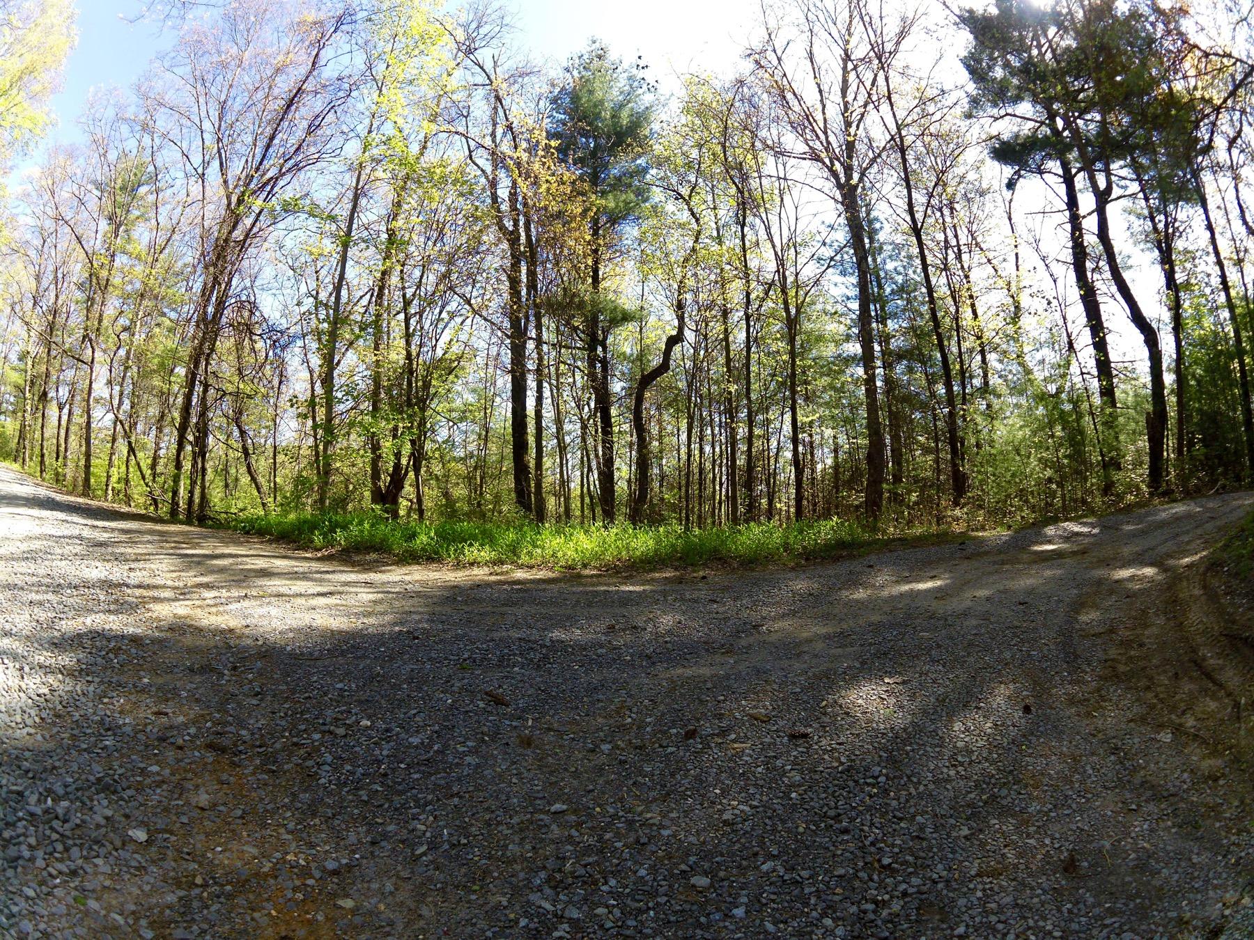 A gravel road splitting into two paths, surrounded by trees in various stages of foliage, with a clear blue sky and sunlight filtering through the branches. Bear Creek mountain bike trail.