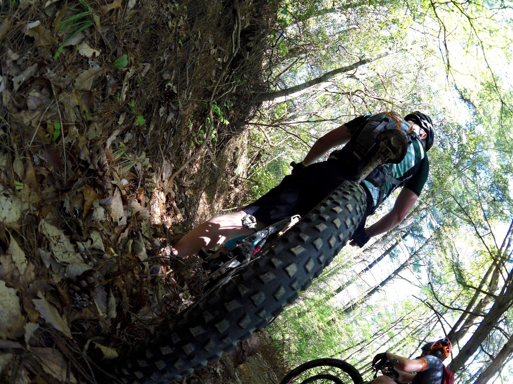 A mountain biker navigating a wooded trail, with a close-up view of the bike tire in the foreground and another cyclist visible in the background. Sunlight filters through the trees, illuminating the forest floor covered in leaves and pine cones. Bear Creek mountain bike trail.