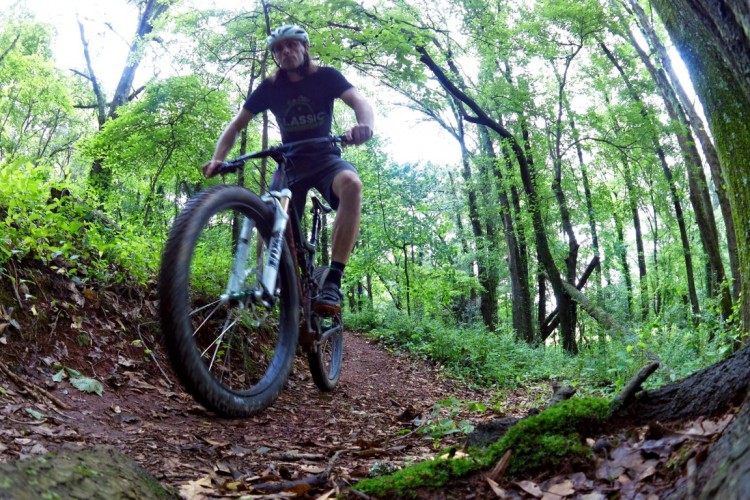 A mountain biker rides along a narrow dirt trail surrounded by lush green trees and foliage, with the ground covered in fallen leaves and patches of moss. The image captures a dynamic perspective, emphasizing the movement of the bike and the natural environment.