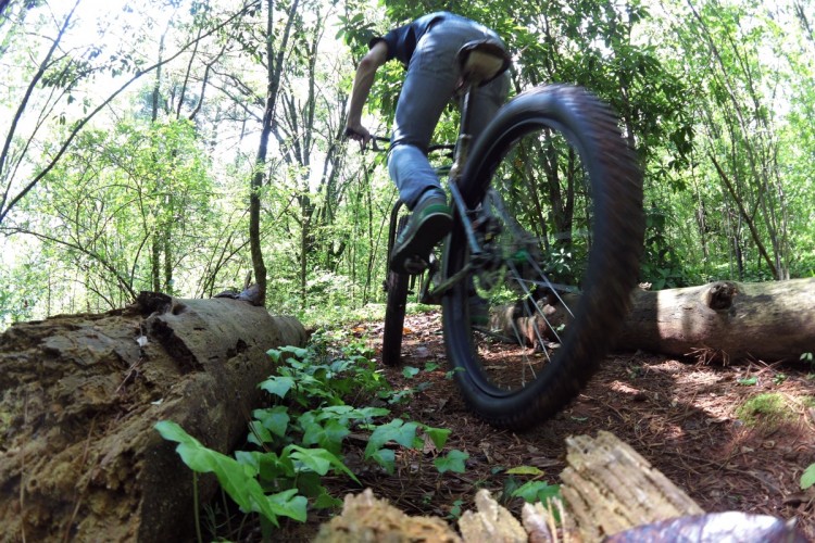 A mountain biker navigating through a lush green forest, leaping over fallen logs on a dirt trail. The close-up view captures the bike's rear wheel in motion, showcasing the dynamic action and natural surroundings filled with trees and underbrush.