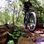 converting 29er to 27.5