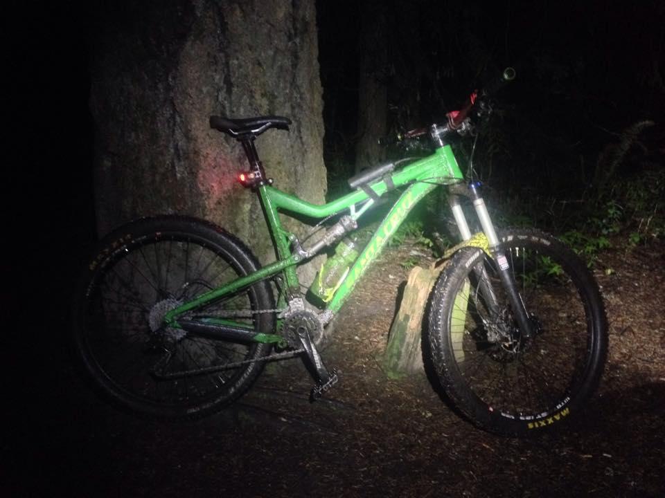 Santa Cruz Bronson: A green mountain bike parked next to a tree in a dark forest setting, illuminated by a nearby light. The bike features thick tires and reflective elements, with a small log on the ground nearby.