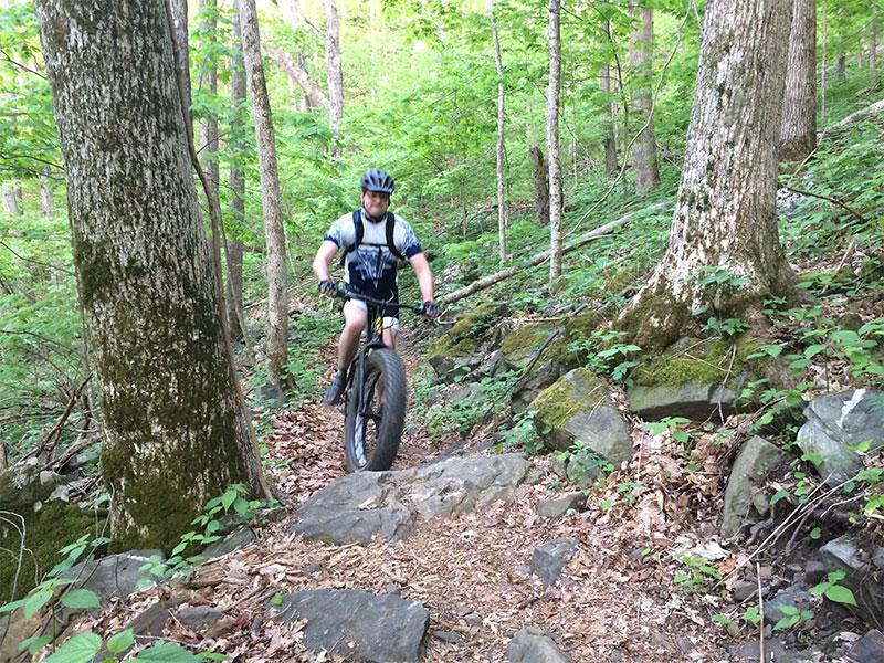 A mountain biker navigating a rocky trail in a dense forest. He is wearing a helmet and cycling gear, with tall trees and greenery surrounding him. Rocky Knob Park mountain bike trail.
