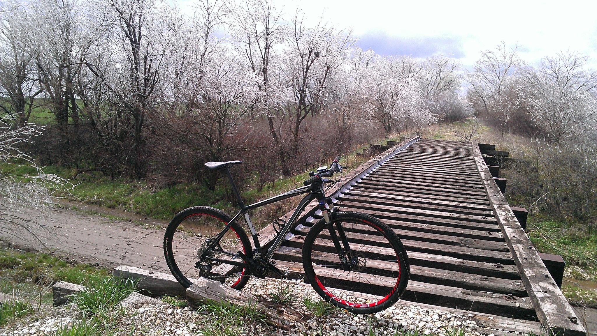 Specialized Stumpjumper Comp 29er: A black mountain bike with red accents is resting on a wooden bridge surrounded by trees. The trees are adorned with white, frosty branches, and the landscape shows hints of green grass and a dirt path beside the bridge. The sky is partly cloudy, creating a serene outdoor scene.