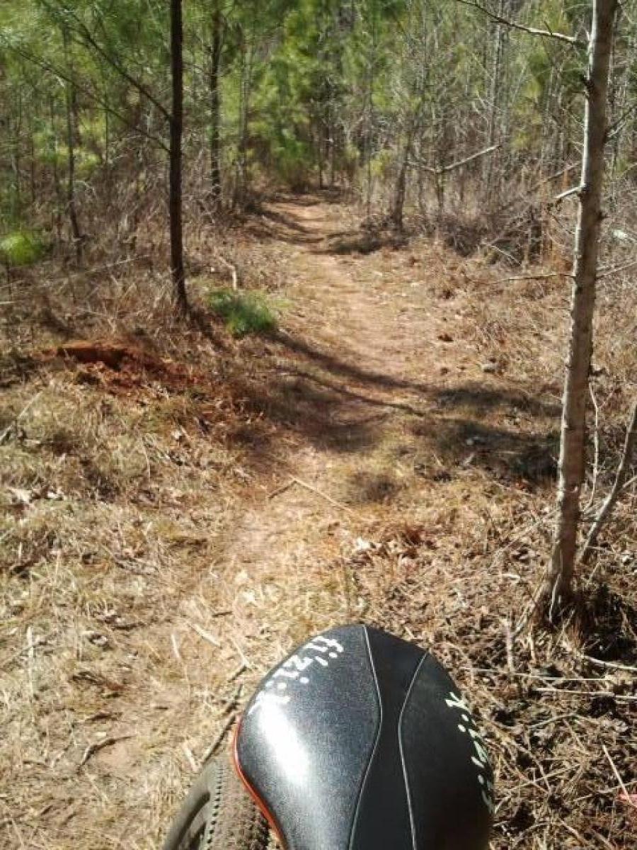 A narrow dirt path winding through a wooded area, surrounded by tall trees and underbrush. The image is taken from a low angle, showing the back of a bicycle seat in the foreground, indicating that the view is from a cyclist's perspective. Sunlight filters through the trees, illuminating the trail ahead. Hard Labor Creek State Park mountain bike trail.