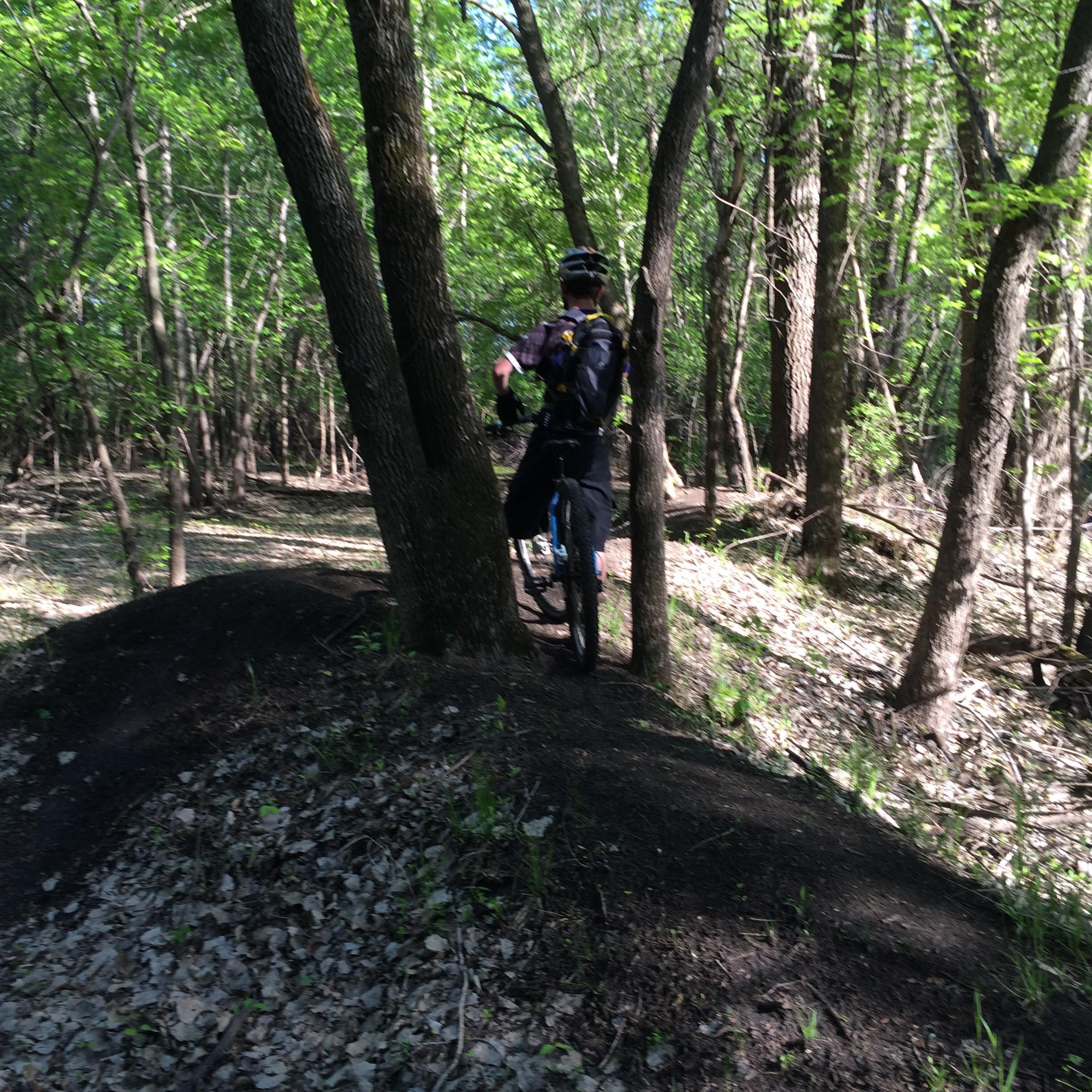 A person on a mountain bike navigating a narrow path between trees in a lush green forest. Sunlight filters through the leaves, illuminating the trail and surrounding foliage. A small slope made of dirt can be seen along the path. Sechler Park mountain bike trail.