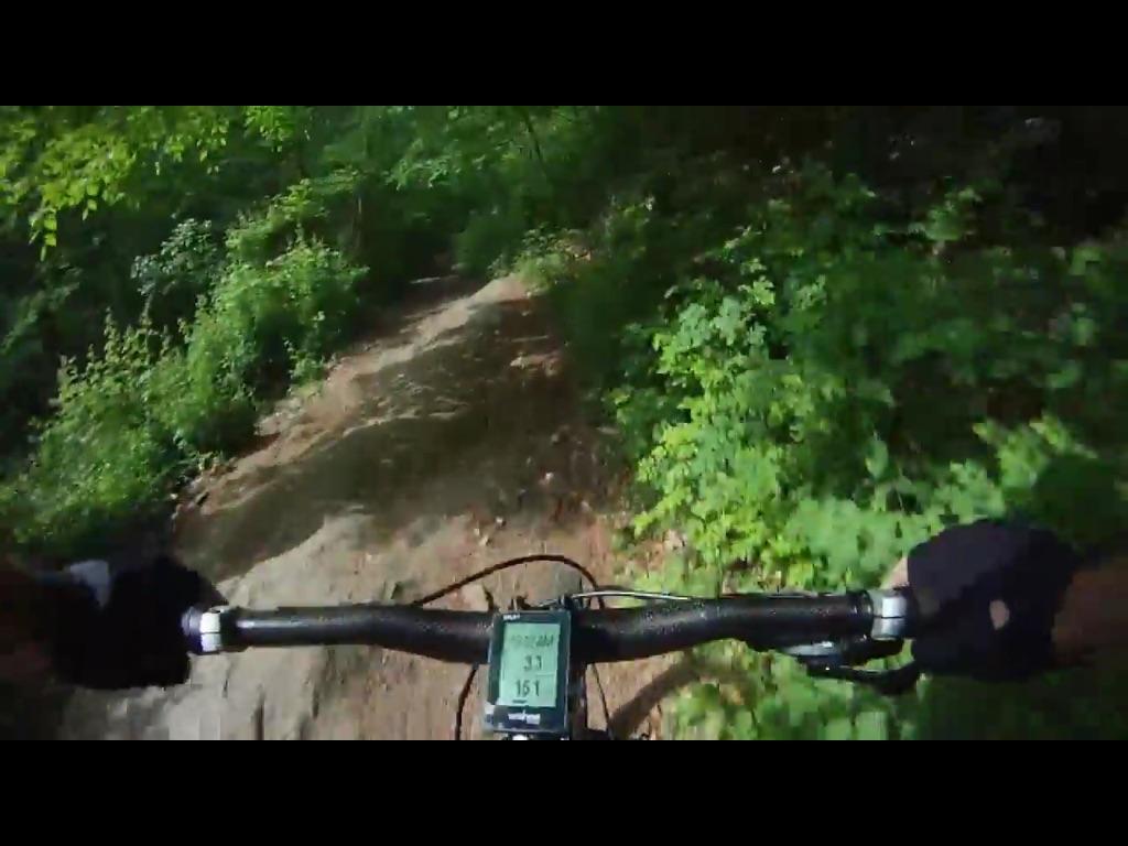 A close-up view of a mountain bike handlebar navigating a dirt trail surrounded by lush greenery. The bike's speed and distance display is visible, indicating a speed of 31 km/h and a distance of 151 km. The scene captures the motion and excitement of off-road biking in a natural environment. Brandywine State Park mountain bike trail.