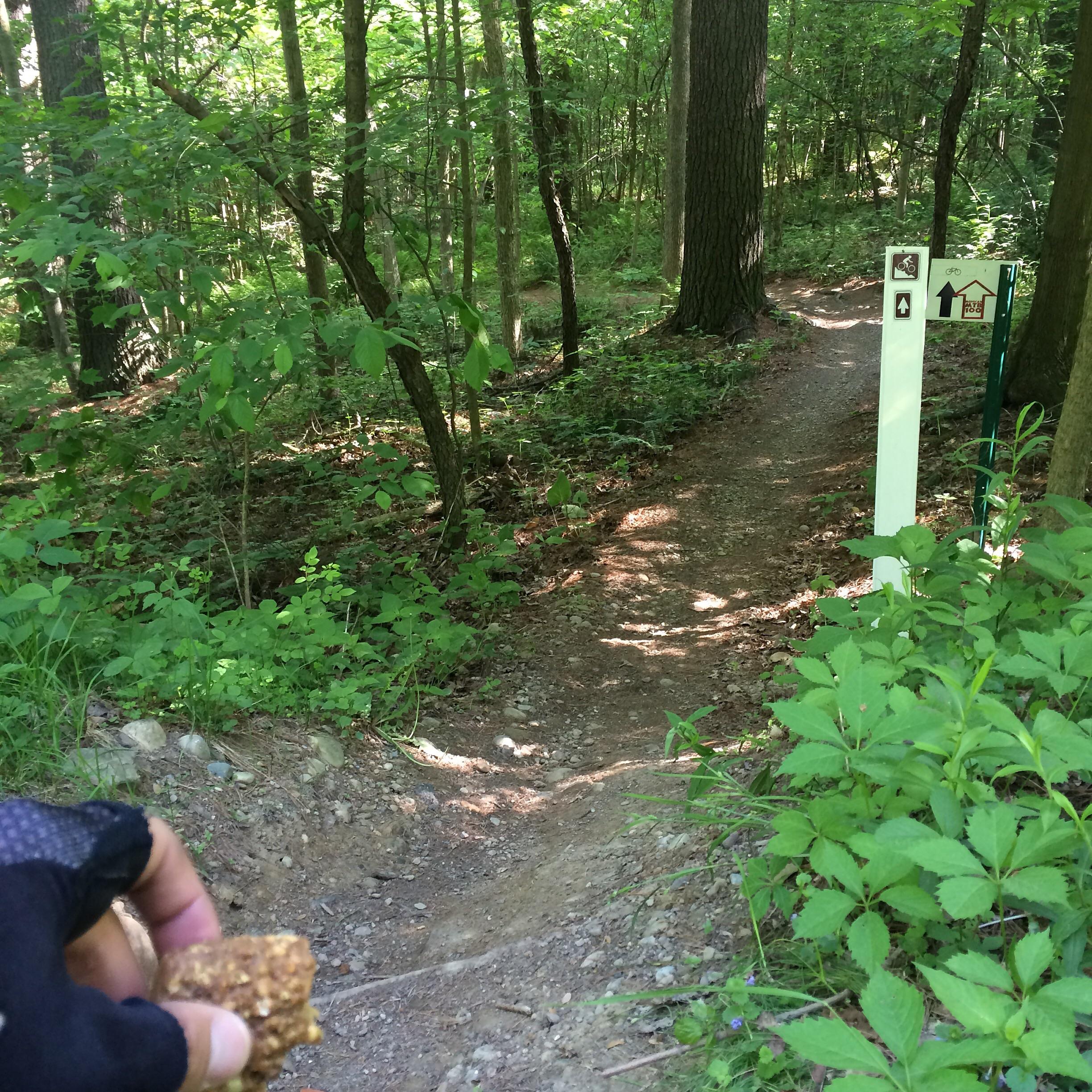A person wearing gloves holds a snack bar while standing on a dirt trail in a lush, green forest. There are trees and underbrush surrounding the path, along with a signpost indicating hiking routes. The scene is bright and sunny, suggesting a pleasant outdoor experience. Mohican mountain bike trail.