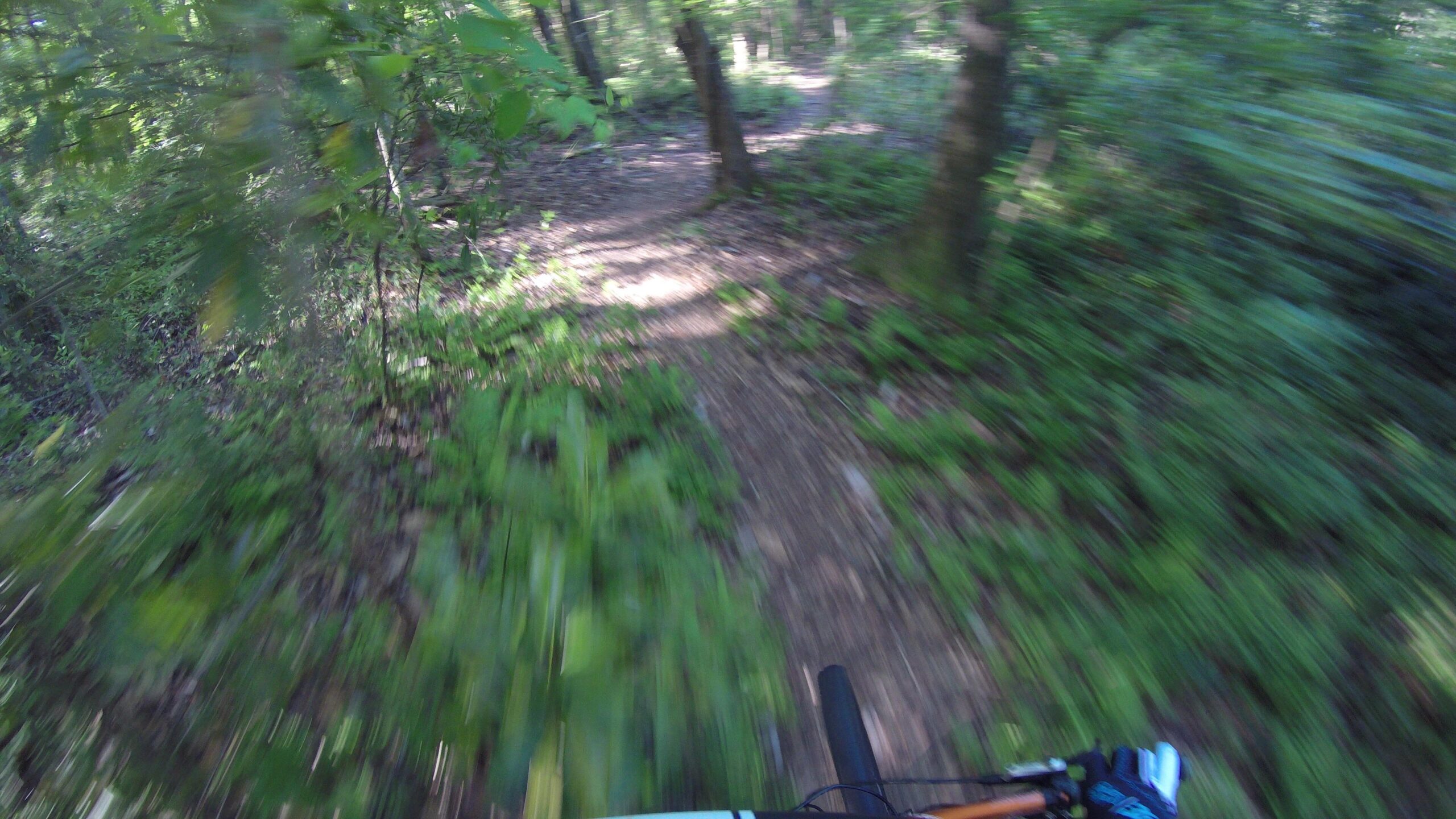 A blurred view of a dirt bike trail surrounded by lush green foliage, captured from a cyclist's perspective. The image conveys a sense of motion and speed as the bike moves along the winding path. Boyd Pond mountain bike trail.