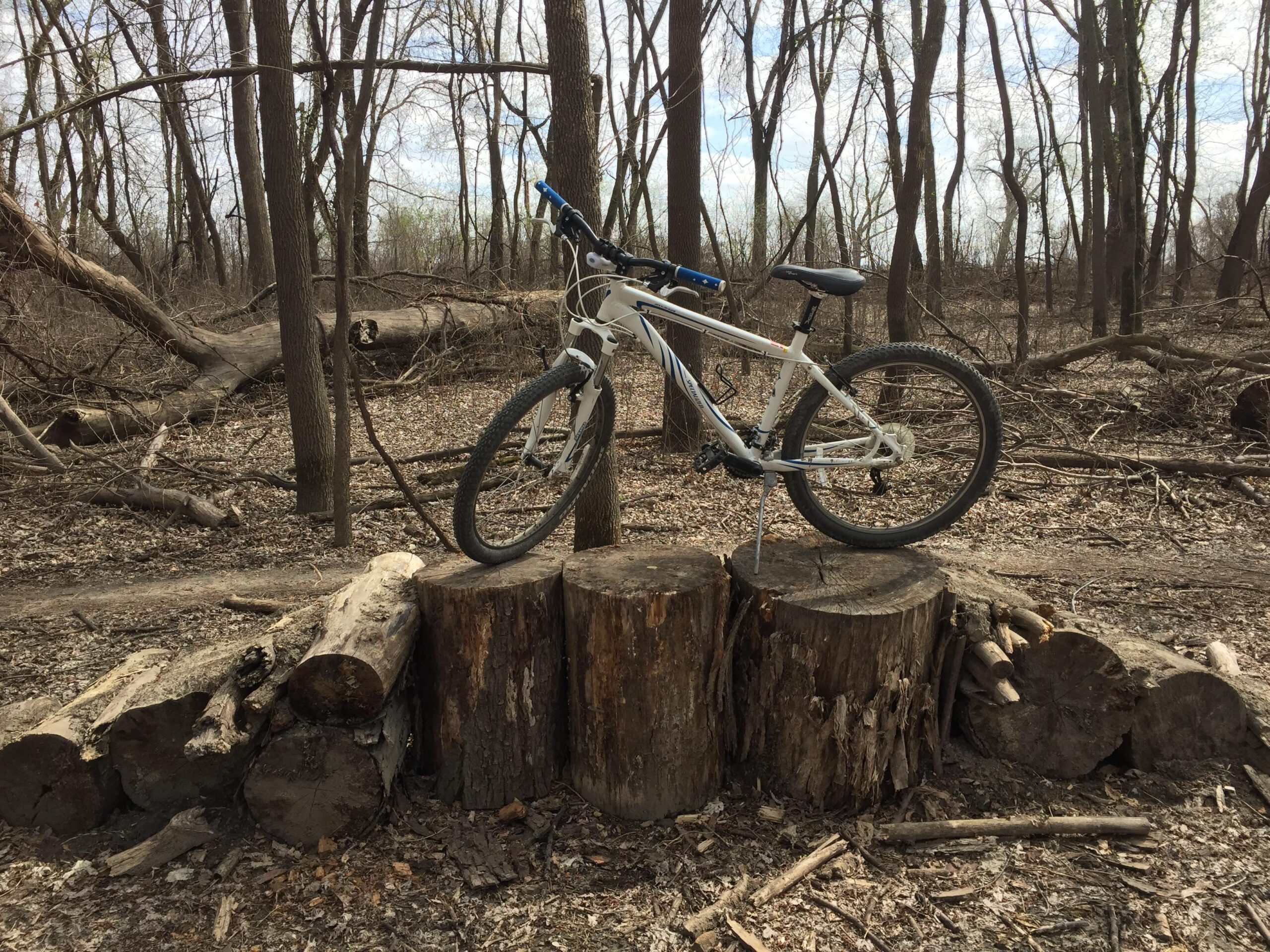 Specialized Myka 26: A white mountain bike resting on a stack of logs in a wooded area with bare trees and scattered leaves on the ground. The background shows a trail with fallen branches and a cloudy sky.