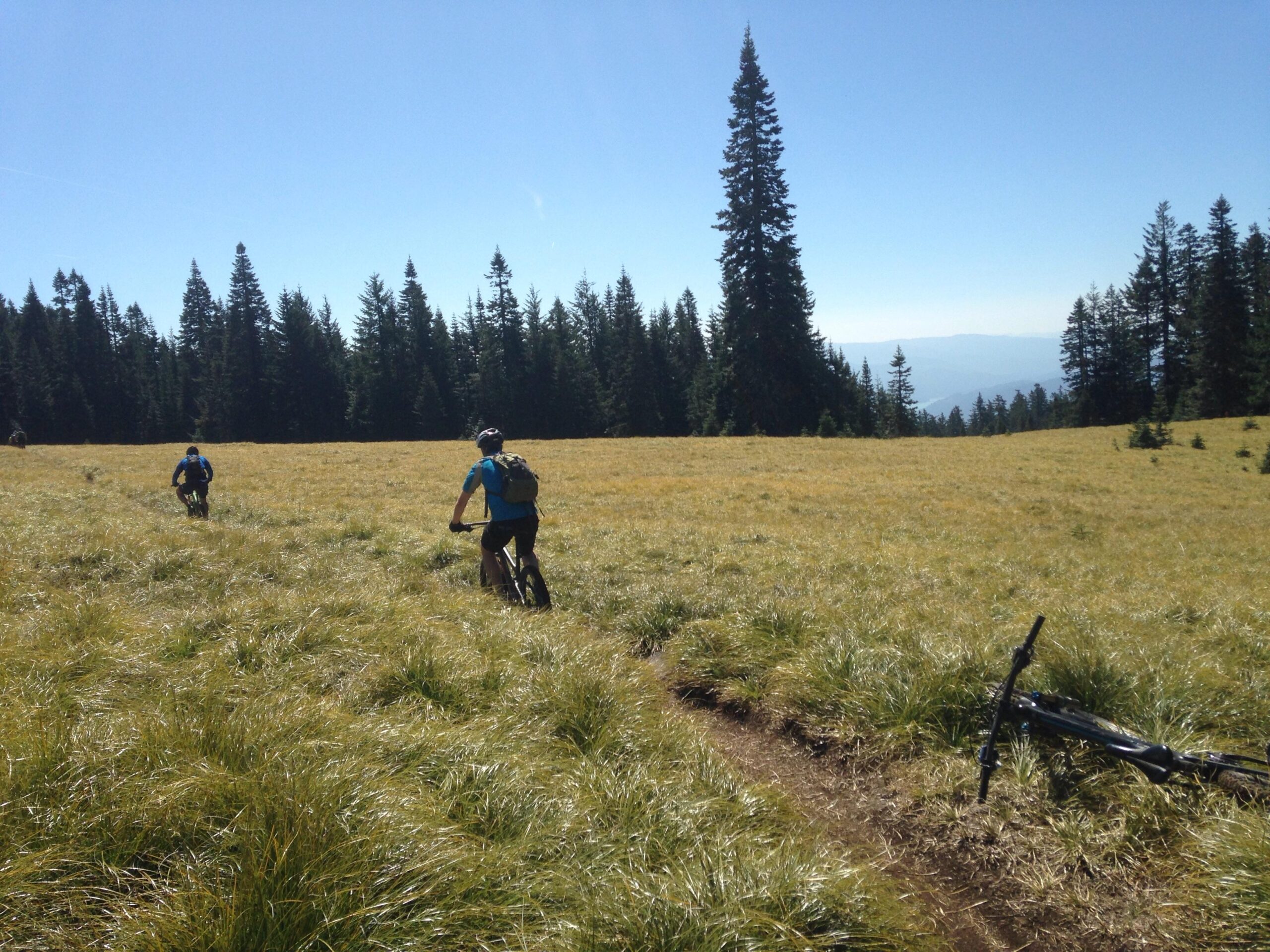 Two mountain bikers riding through a grassy field with tall grass and scattered trees, under a clear blue sky. A black bicycle rests on the ground along a dirt path in the foreground. Alpine Trail mountain bike trail.