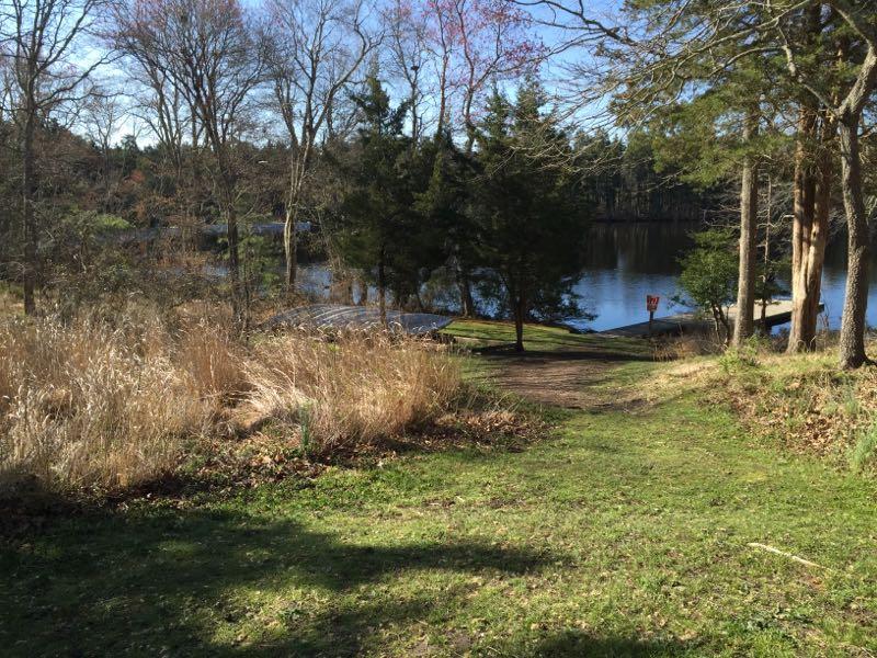 A tranquil scene depicting a pathway leading down to a calm lake, surrounded by trees and tall grass. The landscape captures a peaceful, natural environment with a clear sky visible through the branches. In the background, a small wooden dock is seen along the water's edge. Wells Mills County Park mountain bike trail.