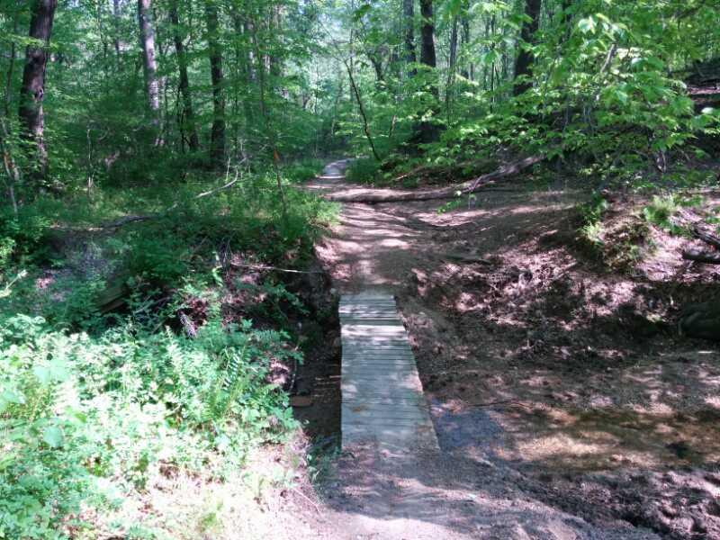 A wooden plank bridge spans a small stream in a lush, green forest. Sunlight filters through the trees, illuminating a dirt path that meanders through the foliage. The surrounding area features dense greenery, including ferns and low plants, creating a tranquil, natural setting. Rosaryville State Park mountain bike trail.