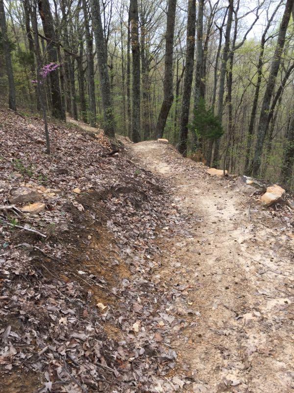 A winding dirt path through a forested area, lined with trees and scattered with fallen leaves. The trail gradually descends along the hillside, revealing earthy tones and rocky outcrops on either side. Small green plants peek through the underbrush, suggesting early spring growth. Brier Creek mountain bike trail.