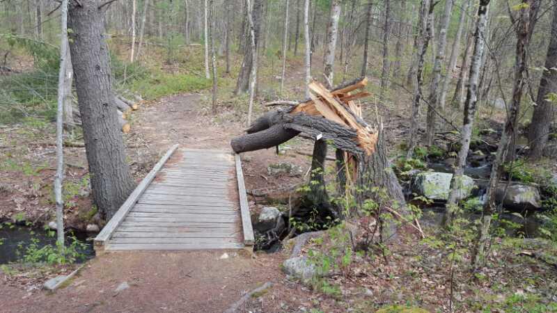 A wooden bridge crossing a small stream in a forest, with a broken tree trunk leaning over the bridge. Surrounding trees and greenery are visible, indicating a natural, serene environment. Horse Hill Nature Preserve mountain bike trail.