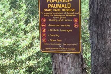 Sign at Pūpūkahi-Paumalū State Park Reserve listing prohibited activities, including hunting, horses, motorized vehicles, alcoholic beverages, camping, and open fires, with a reminder to report violations. Pupukea Trail mountain bike trail.