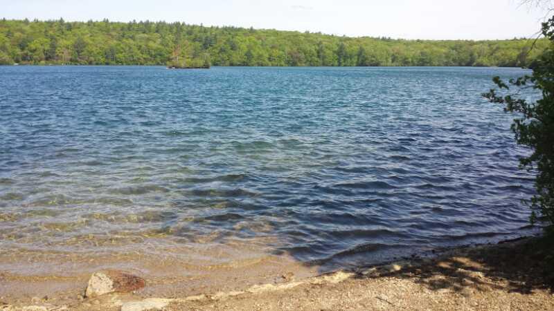 A serene landscape featuring a calm lake with gentle waves. The water reflects shades of blue and turquoise, leading to a sandy shore lined with small stones. Lush green trees and a forested area can be seen in the background under a clear blue sky, creating a peaceful outdoor setting. Big River mountain bike trail.