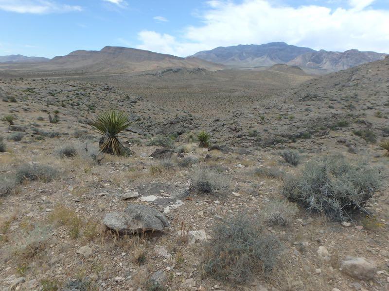 A wide view of a desert landscape featuring rocky terrain, sparse vegetation, and distant mountains under a partly cloudy sky. A few green plants, possibly yucca, are visible in the foreground, adding contrast to the arid environment. Blue Diamond mountain bike trail.