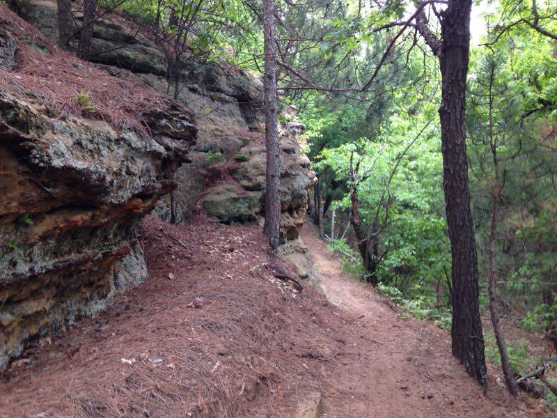 A narrow dirt path winding through a lush green forest, flanked by rocky outcrops and tall trees, creating a serene natural setting. Levis Mounds mountain bike trail.