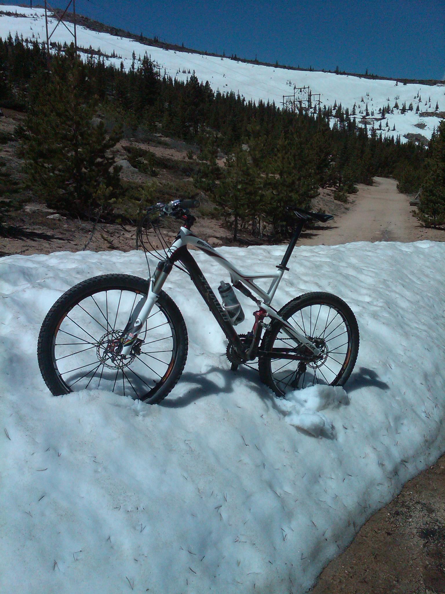 Specialized Epic Expert: A mountain bike resting on a patch of snow beside a dirt trail, surrounded by evergreen trees and a clear blue sky. The background features a snow-covered slope, indicating a mountainous area.