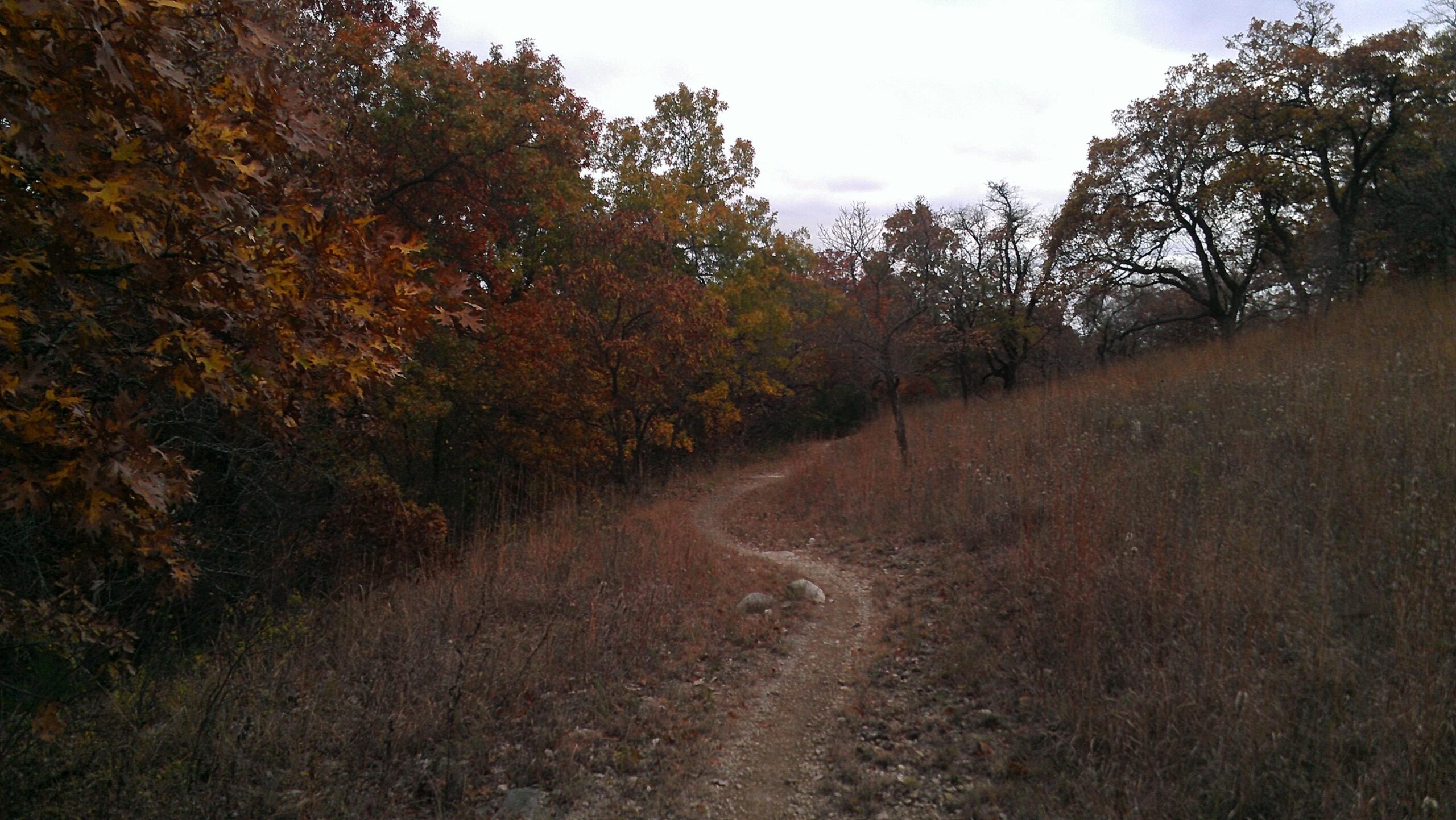 A winding dirt path through a wooded area, surrounded by trees with autumn foliage in shades of orange, yellow, and red. The path leads into a grassy hillside under a cloudy sky. Camp Horizon mountain bike trail.