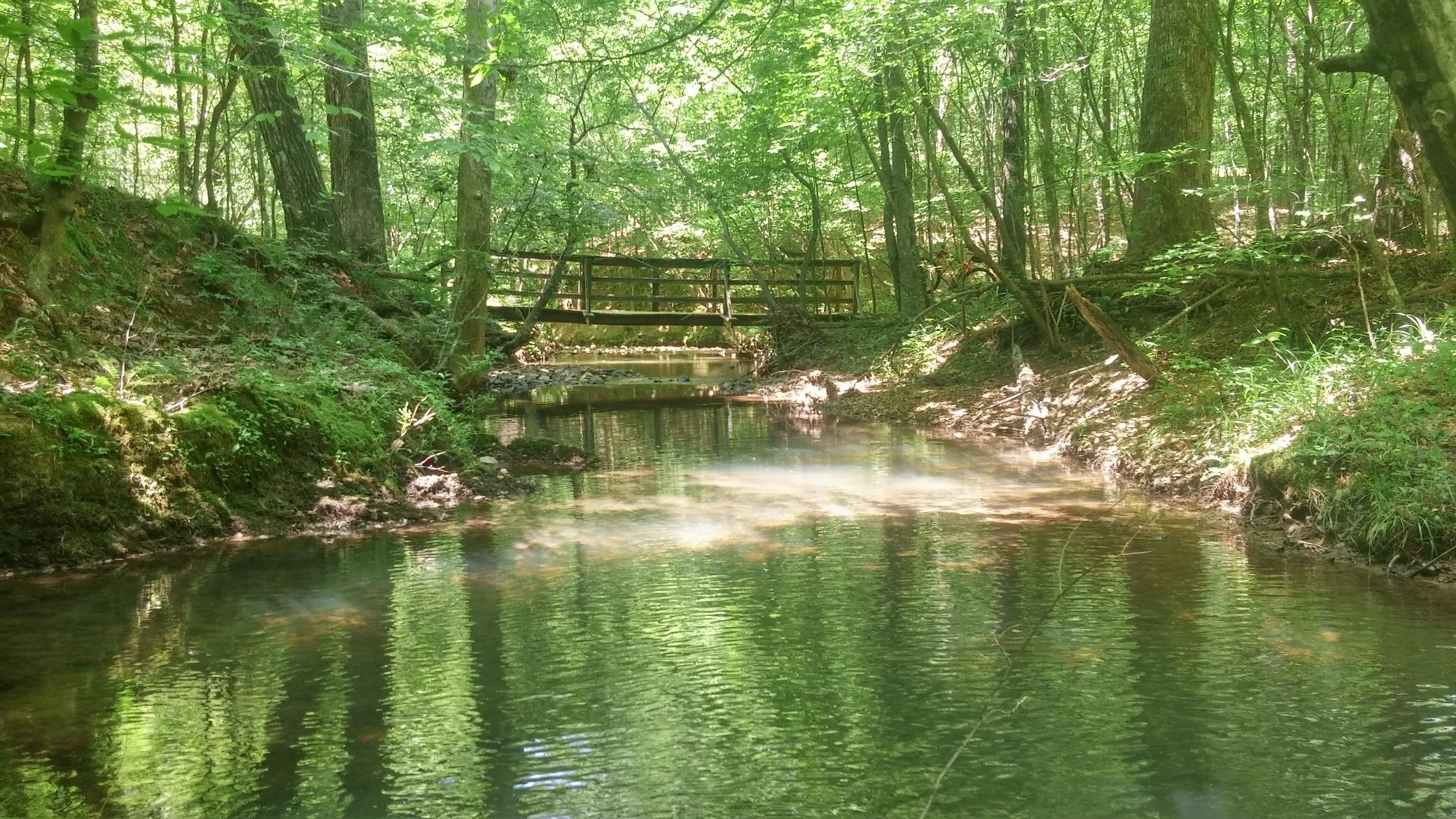 A serene view of a clear creek flowing through a lush, green forest. Sunlight filters through the leaves, creating dappled reflections on the water's surface. A wooden bridge crosses above the creek, adding a rustic touch to the peaceful natural setting. Oak Mountain State Park mountain bike trail.