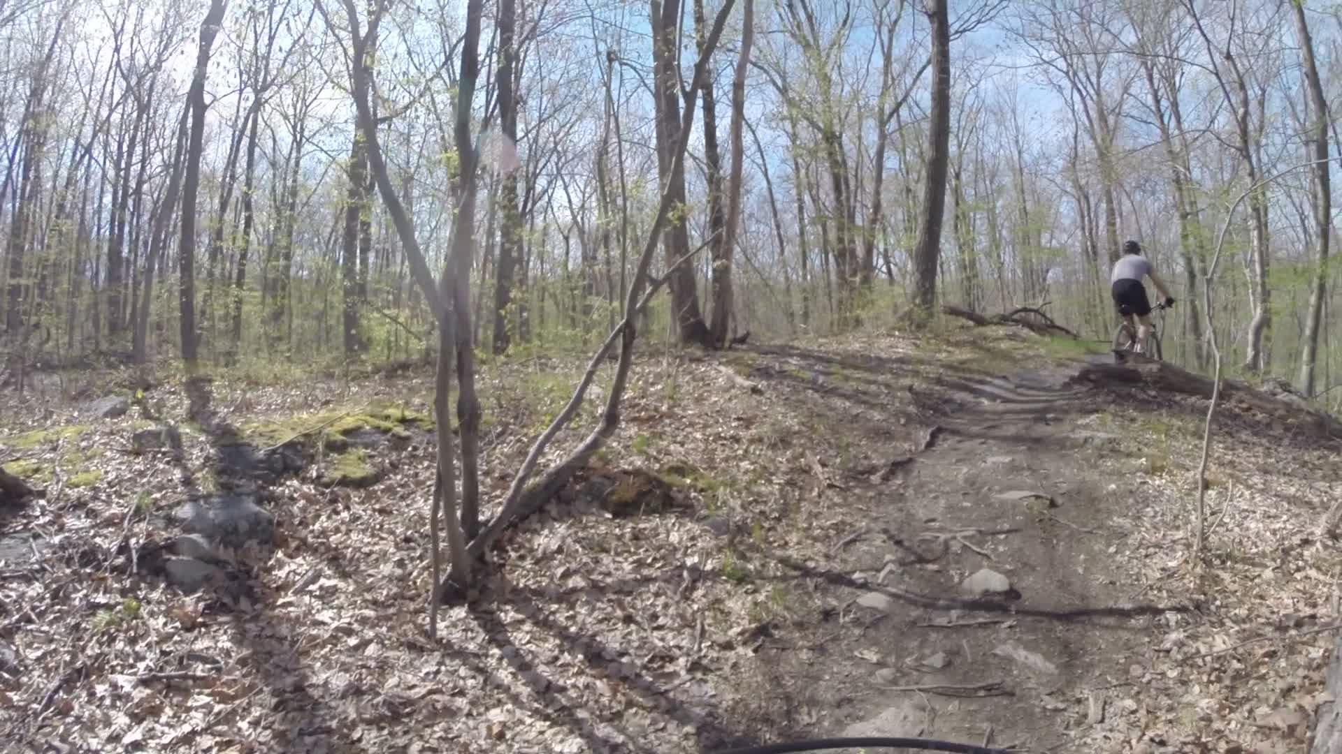 A person biking on a dirt trail through a wooded area with bare trees and patches of green foliage, amidst fallen leaves and rocks, on a sunny day. Ringwood Skylands Manor mountain bike trail.