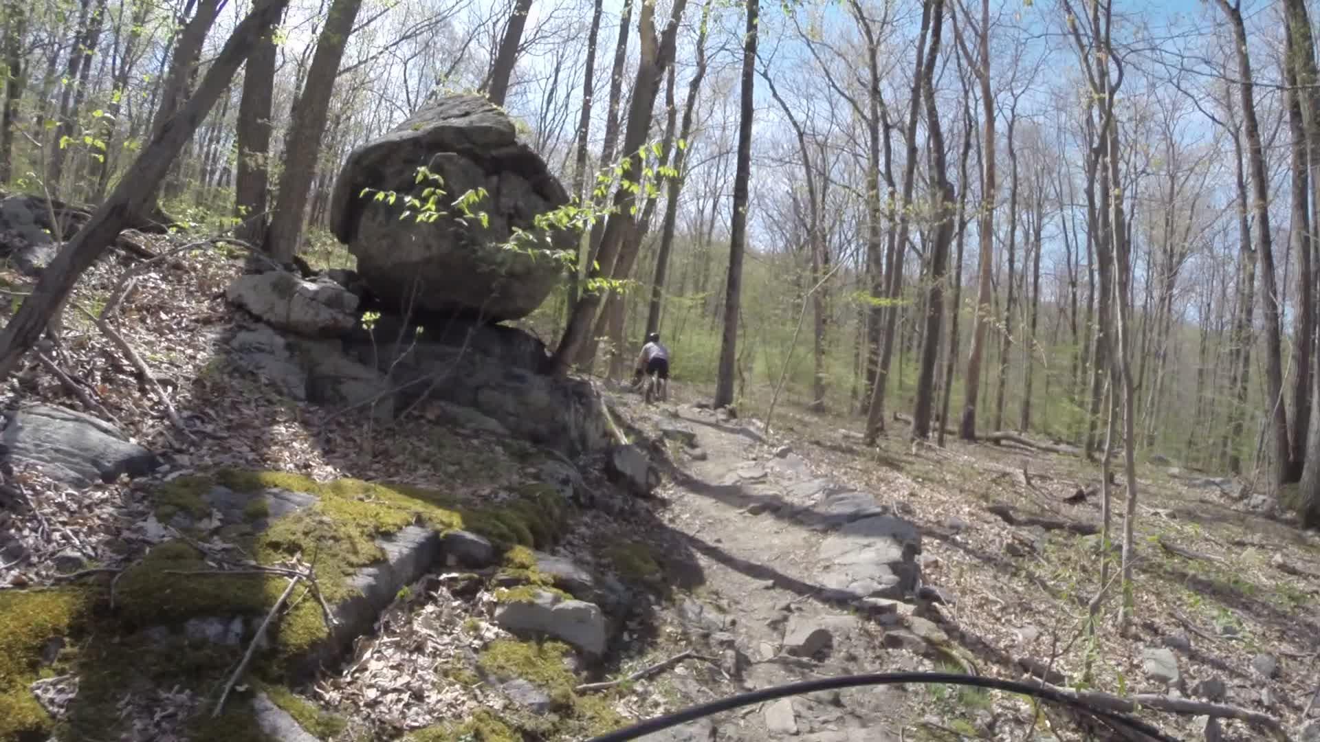 A mountain biker rides along a rocky trail surrounded by trees, with a large boulder and moss-covered stones visible in the foreground. The scene captures a sunny day in a forested area during spring, showcasing new leaves on the trees. Ringwood Skylands Manor mountain bike trail.