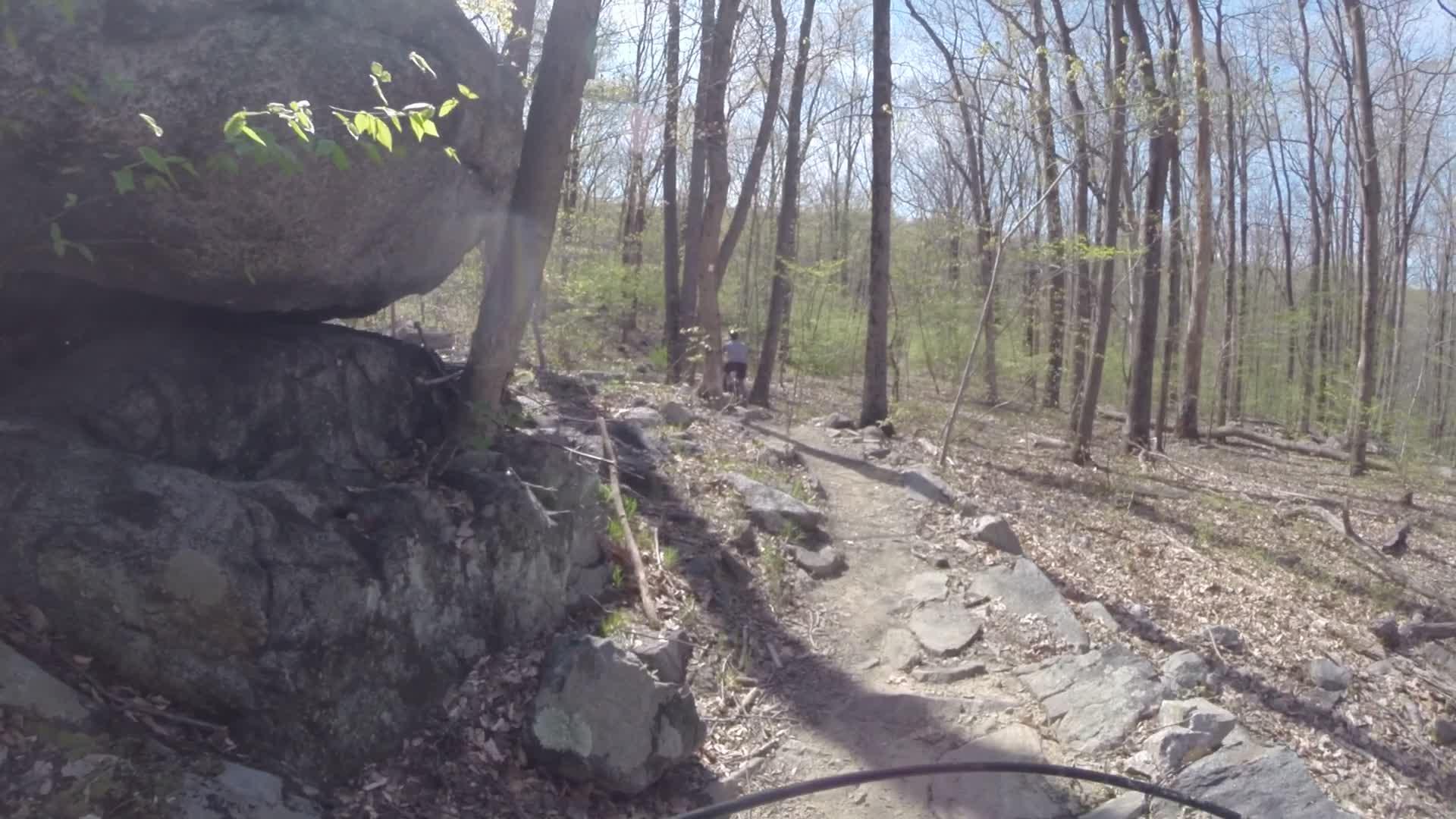 A narrow dirt trail winding through a wooded area, flanked by large rocks and trees in early spring. A person can be seen biking in the distance along the path, surrounded by fresh green leaves and sunlit scenery. Ringwood Skylands Manor mountain bike trail.