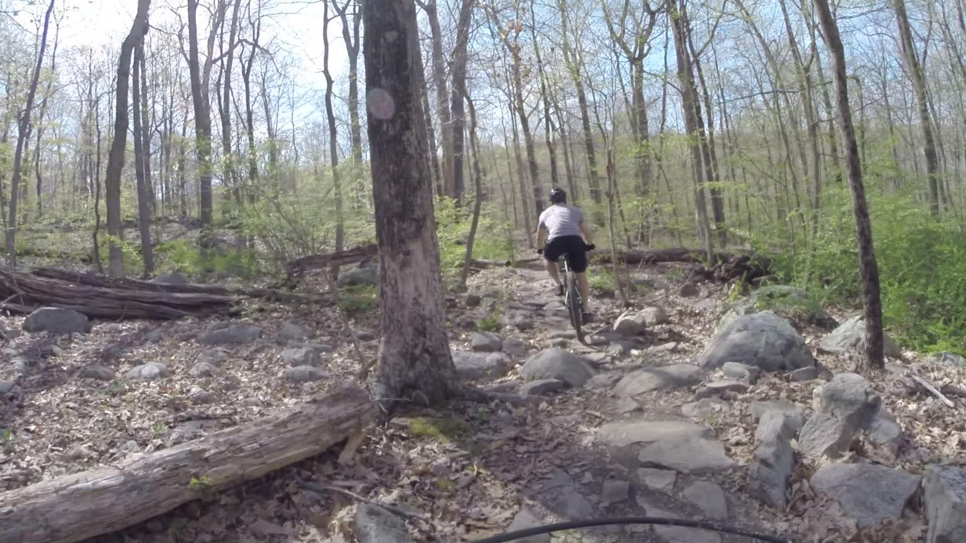 A person riding a mountain bike on a rocky trail through a wooded area, surrounded by trees with budding leaves and scattered stones on the ground. Ringwood Skylands Manor mountain bike trail.