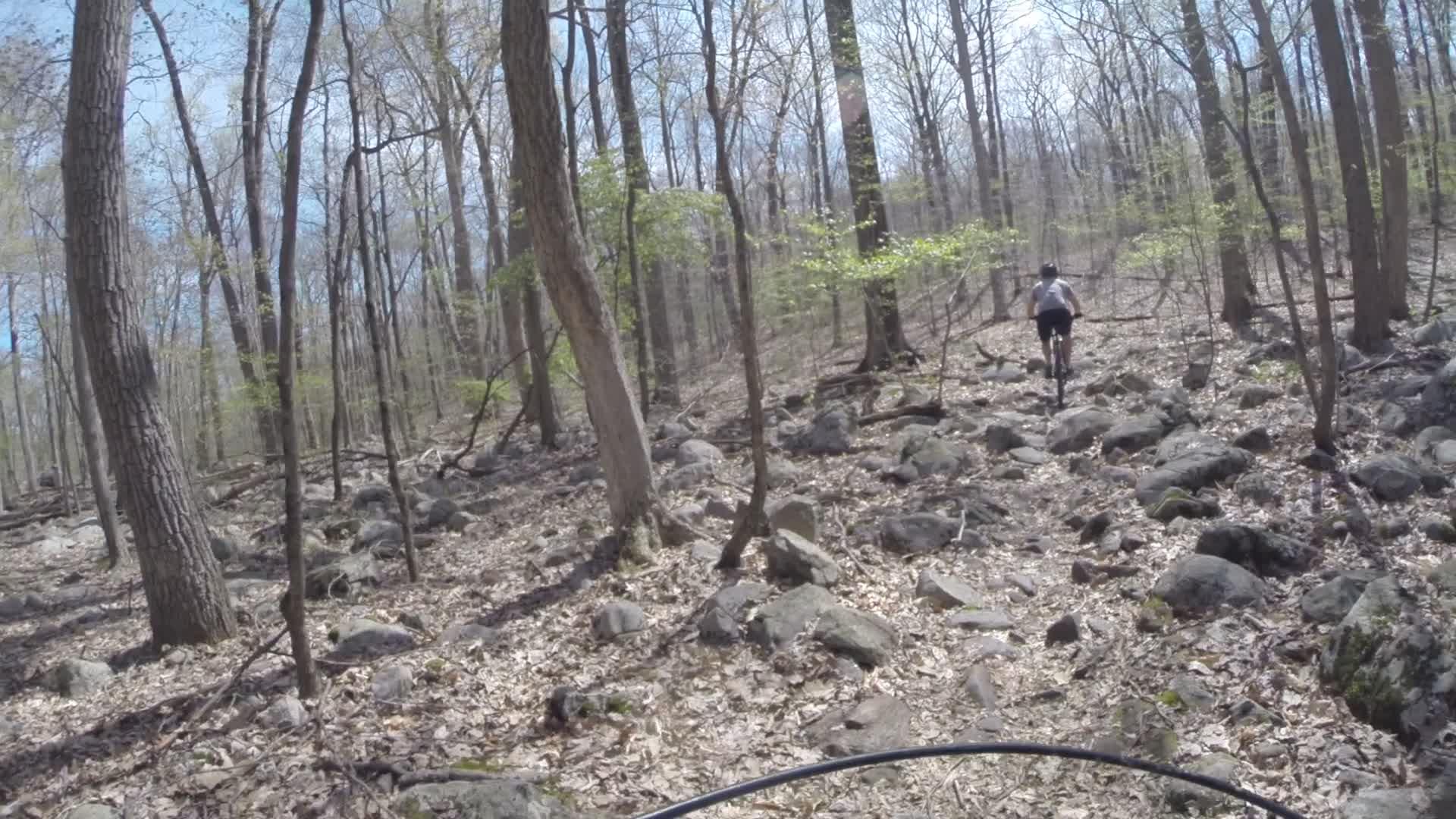 A person riding a mountain bike along a rocky trail in a forest during early spring. The trees are mostly bare, with a few small green leaves visible. The ground is covered in stones and fallen leaves, with sunlight filtering through the trees. Ringwood Skylands Manor mountain bike trail.