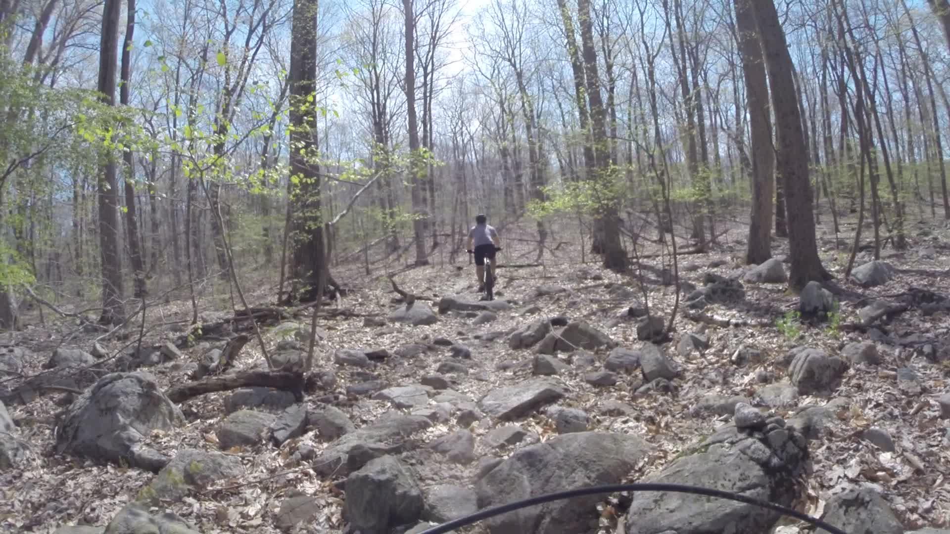 A person biking along a rocky trail in a forest with bare trees and scattered leaves on the ground, surrounded by greenery starting to emerge in the spring. Ringwood Skylands Manor mountain bike trail.