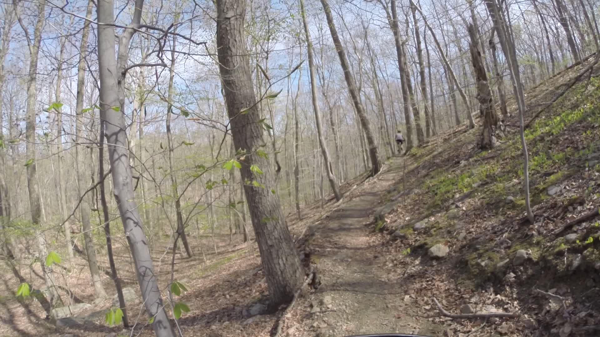 A winding dirt trail through a wooded area, surrounded by trees with sparse leaves, indicating early spring. A cyclist is visible in the distance, riding along the path. The ground is covered with fallen leaves and small rocks, and sunlight filters through the branches, casting shadows on the trail. Ringwood Skylands Manor mountain bike trail.