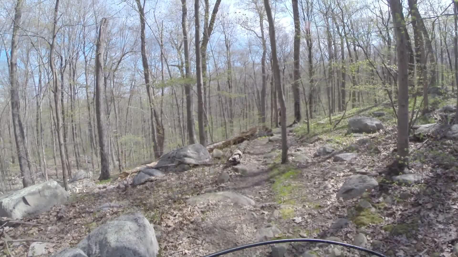 A winding dirt trail through a forested area, featuring bare trees and scattered rocks. Sunlight filters through the branches, illuminating patches of green moss and fallen leaves on the ground. The image captures a serene, natural setting ideal for outdoor activities. Ringwood Skylands Manor mountain bike trail.