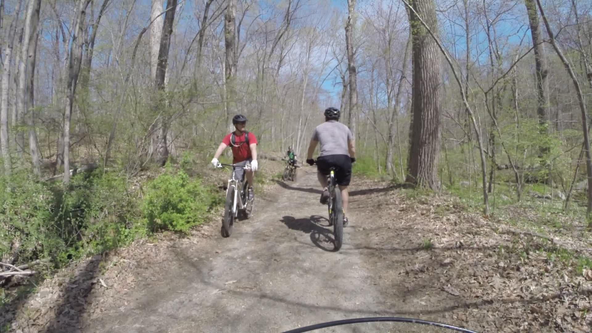 Two mountain bikers ride along a dirt trail in a wooded area, with trees and greenery surrounding them. One biker, wearing a red shirt and helmet, faces the camera while the other, in a gray shirt, rides ahead. A third biker can be seen in the background, continuing down the trail. The scene is set on a clear day with a blue sky partially visible through the branches. Ringwood Skylands Manor mountain bike trail.