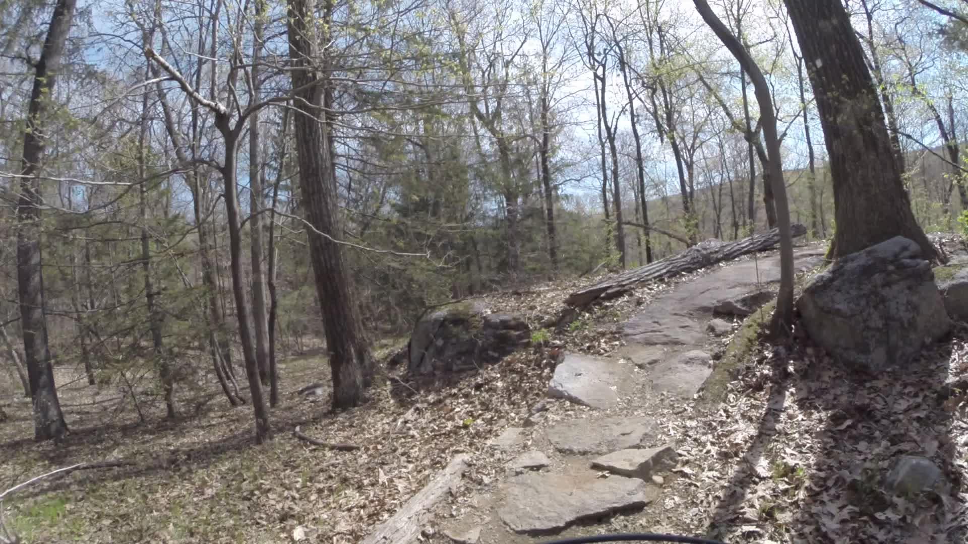 Rocky hiking trail surrounded by trees with bare branches and scattered leaves, under a clear blue sky. Ringwood Skylands Manor mountain bike trail.