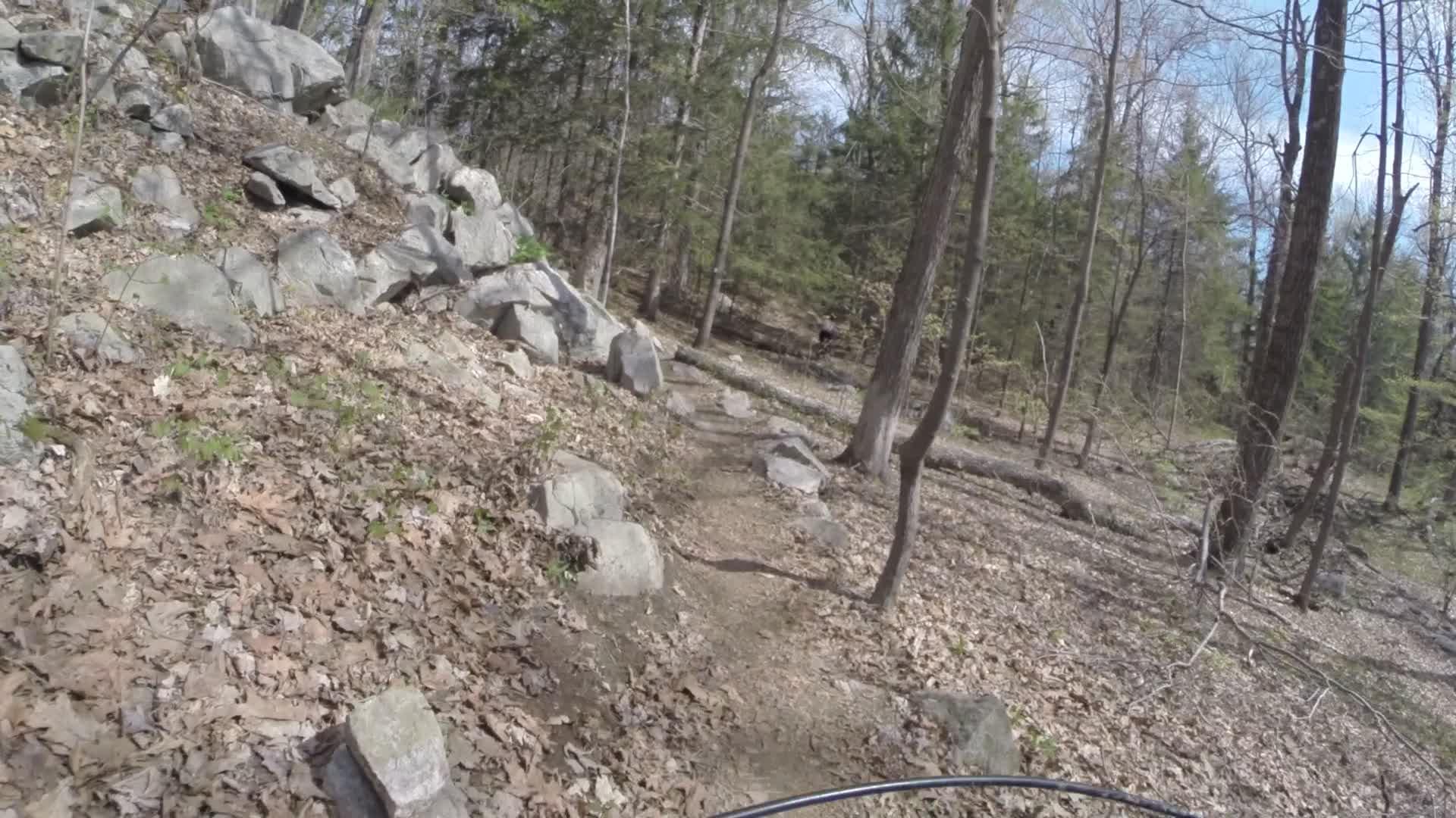 A rocky mountain biking trail surrounded by trees, featuring scattered stones and dry leaves on the ground, with a clear sky visible through the branches. Ringwood Skylands Manor mountain bike trail.