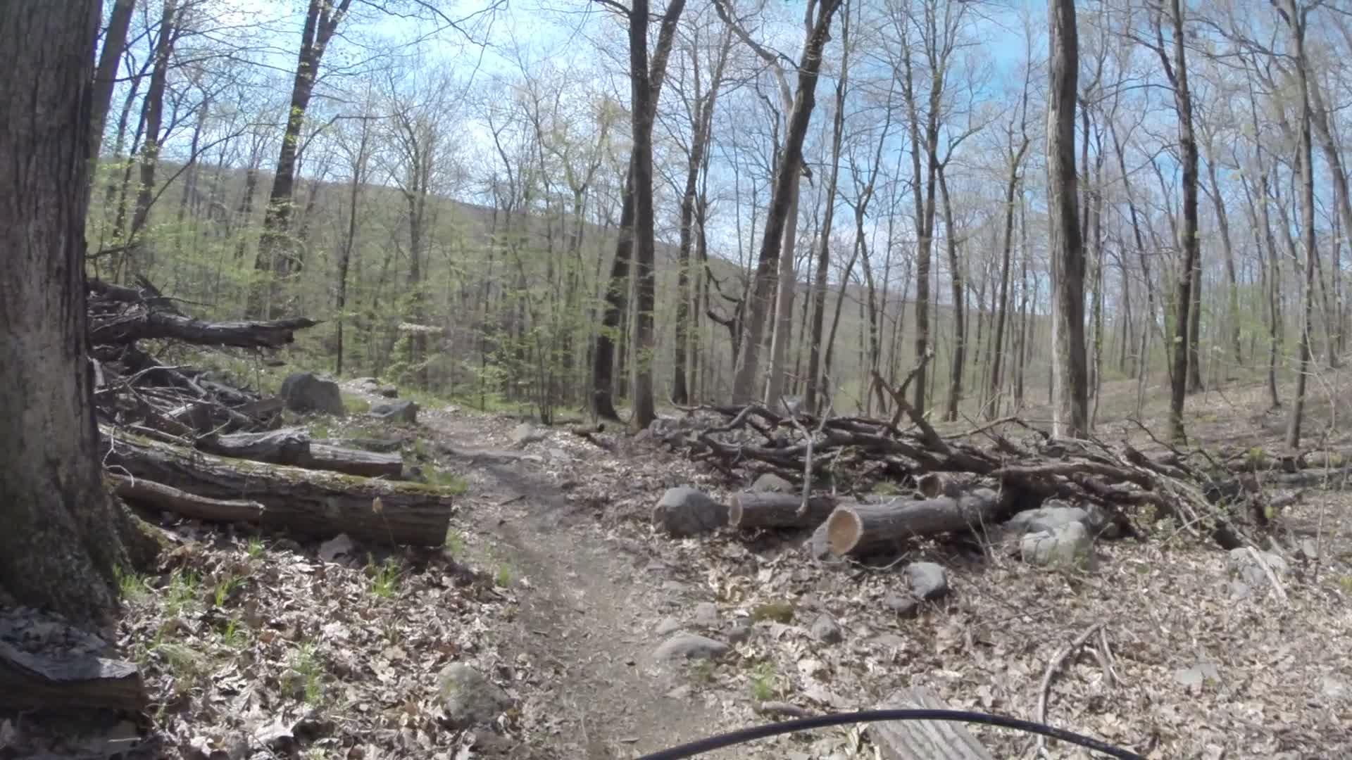 A dirt trail winding through a wooded area, surrounded by bare trees and scattered fallen logs. The scene is set on a sunny day with blue skies and hints of new green leaves. Rocks and leaf litter frame the path, indicating a natural outdoor environment. Ringwood Skylands Manor mountain bike trail.