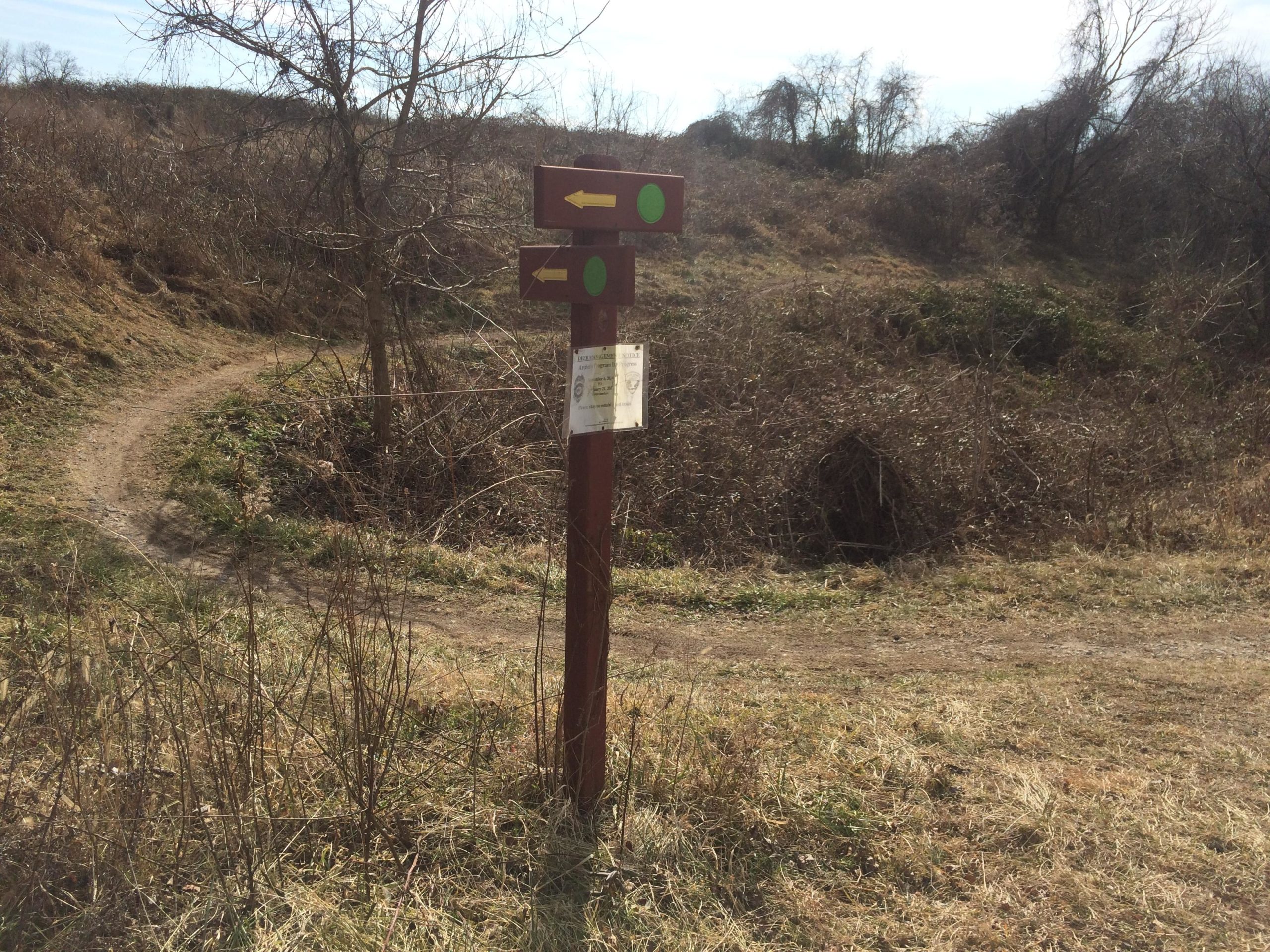 A weathered wooden signpost with directional arrows and a green circle is positioned at the fork of a dirt path winding through a grassy area. Bare trees and shrubs are visible in the background under a clear sky. A notice is attached to the post, partially obscured by surrounding vegetation. Laurel Hill Park mountain bike trail.