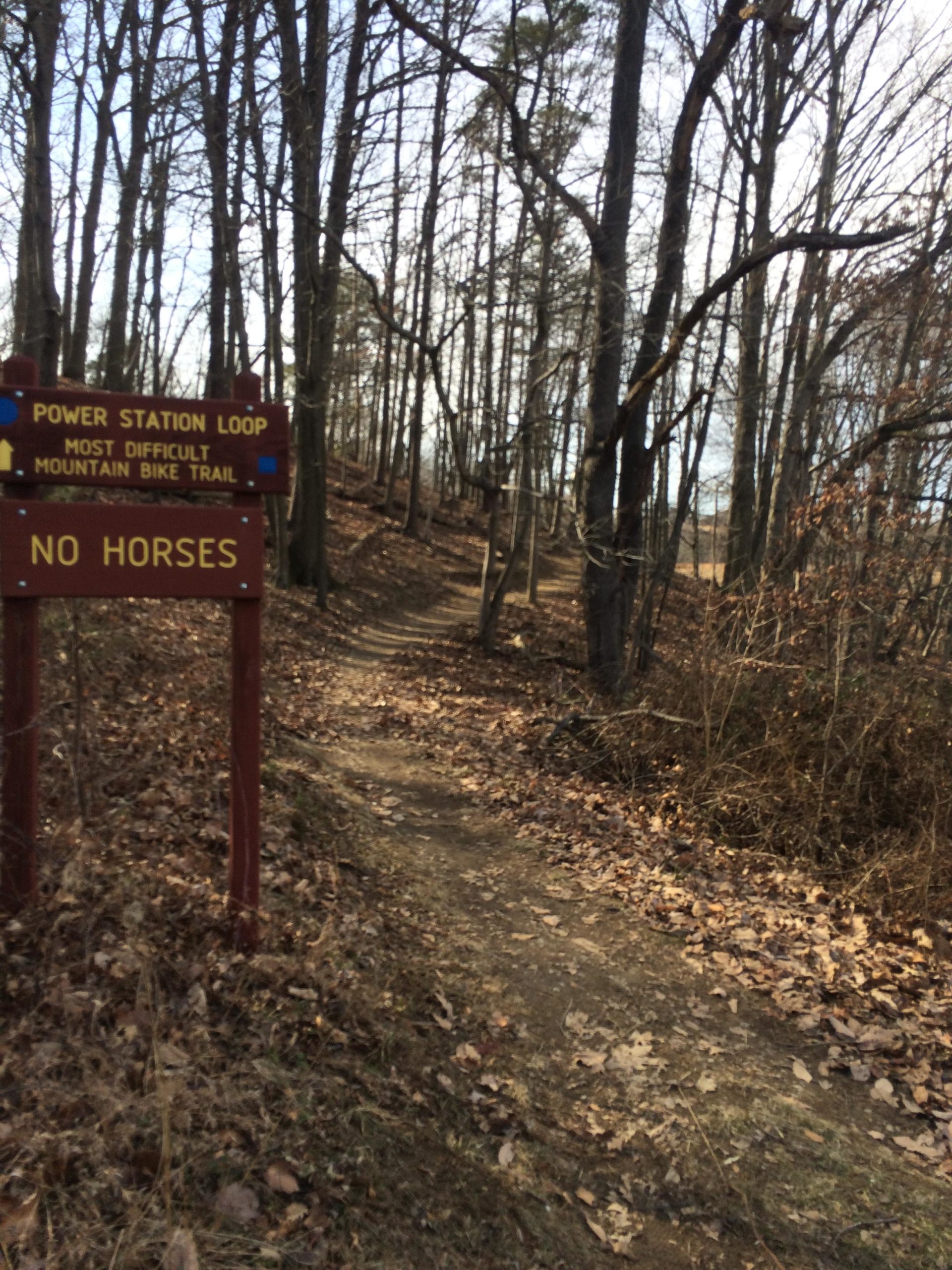 Wooded path sign indicating the "Power Station Loop," noted as the "Most Difficult Mountain Bike Trail," with an additional warning stating "No Horses." The trail is surrounded by trees with fallen leaves on the ground, creating a serene outdoor atmosphere. Laurel Hill Park mountain bike trail.