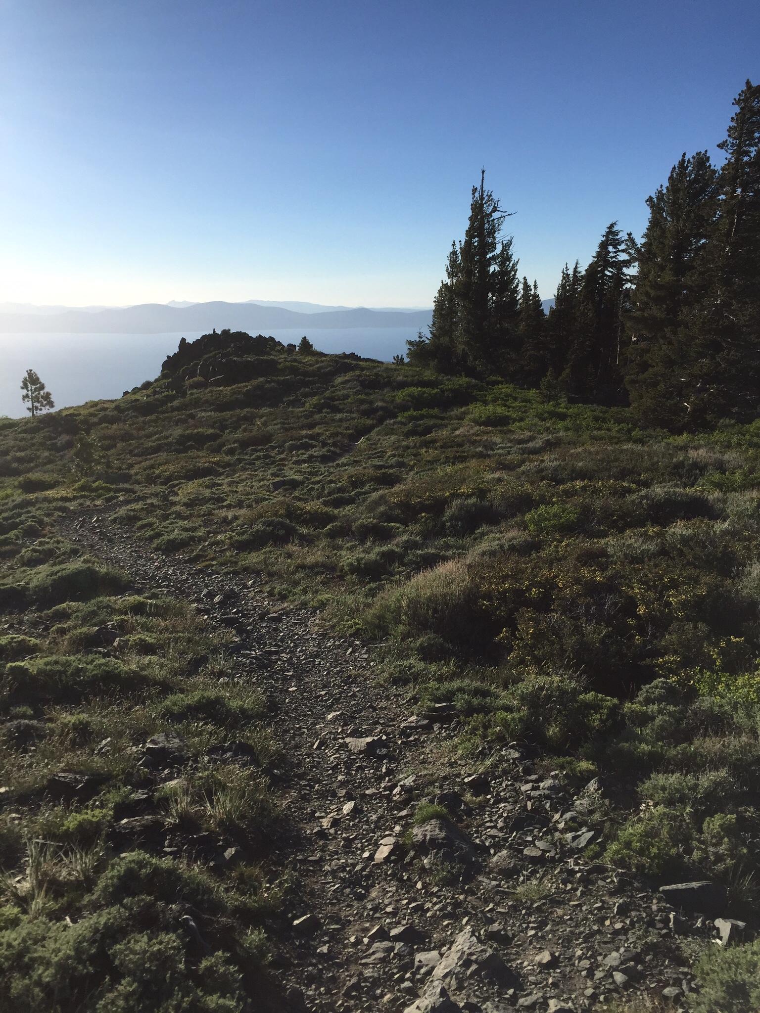 A scenic view of a rocky mountain trail surrounded by lush greenery and tall trees, with a clear blue sky overhead and distant mountains visible in the background. The path leads up through the landscape, inviting exploration. Tahoe Rim Trail: Spooner Summit to Kingsbury Grade mountain bike trail.