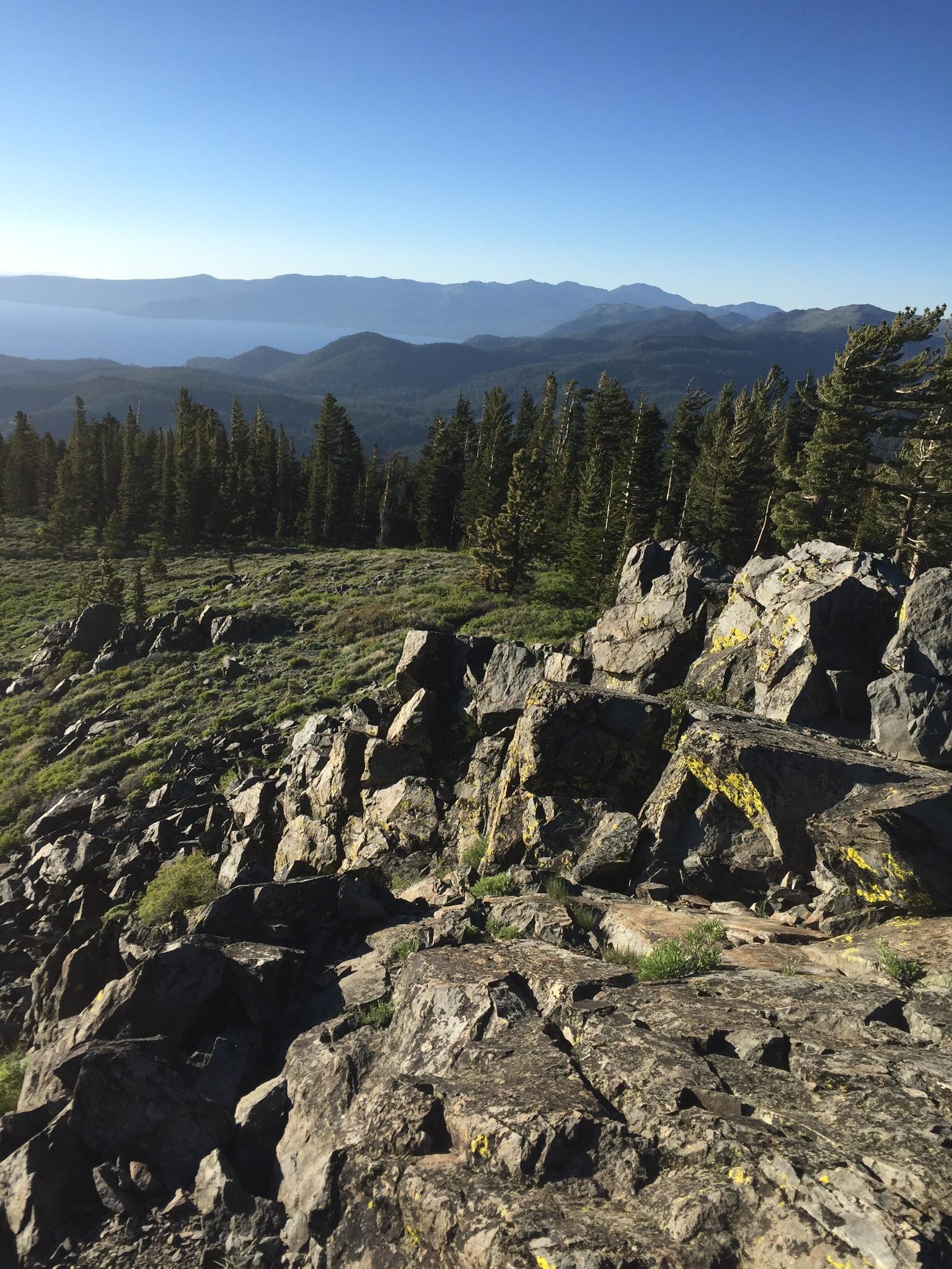 Scenic view of rolling hills and mountains under a clear blue sky, with rocky terrain in the foreground and lush green trees in the middle ground. Tahoe Rim Trail: Spooner Summit to Kingsbury Grade mountain bike trail.