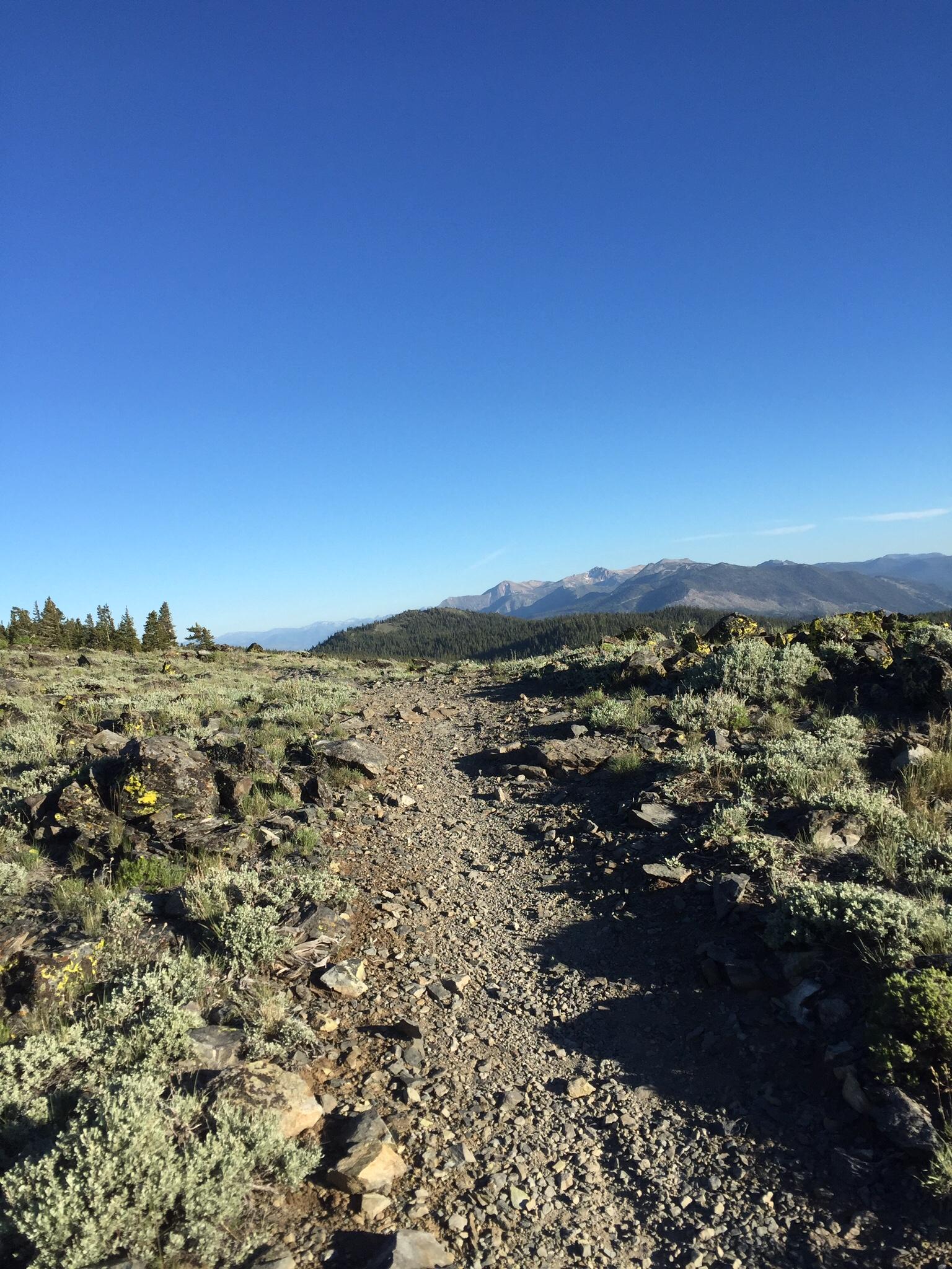 A winding dirt trail leads through a mountainous landscape, surrounded by rocky terrain and patches of green vegetation. The sky is clear and blue, with distant mountains visible on the horizon. The scene captures a serene outdoor setting, perfect for hiking and exploring nature. Tahoe Rim Trail: Spooner Summit to Kingsbury Grade mountain bike trail.
