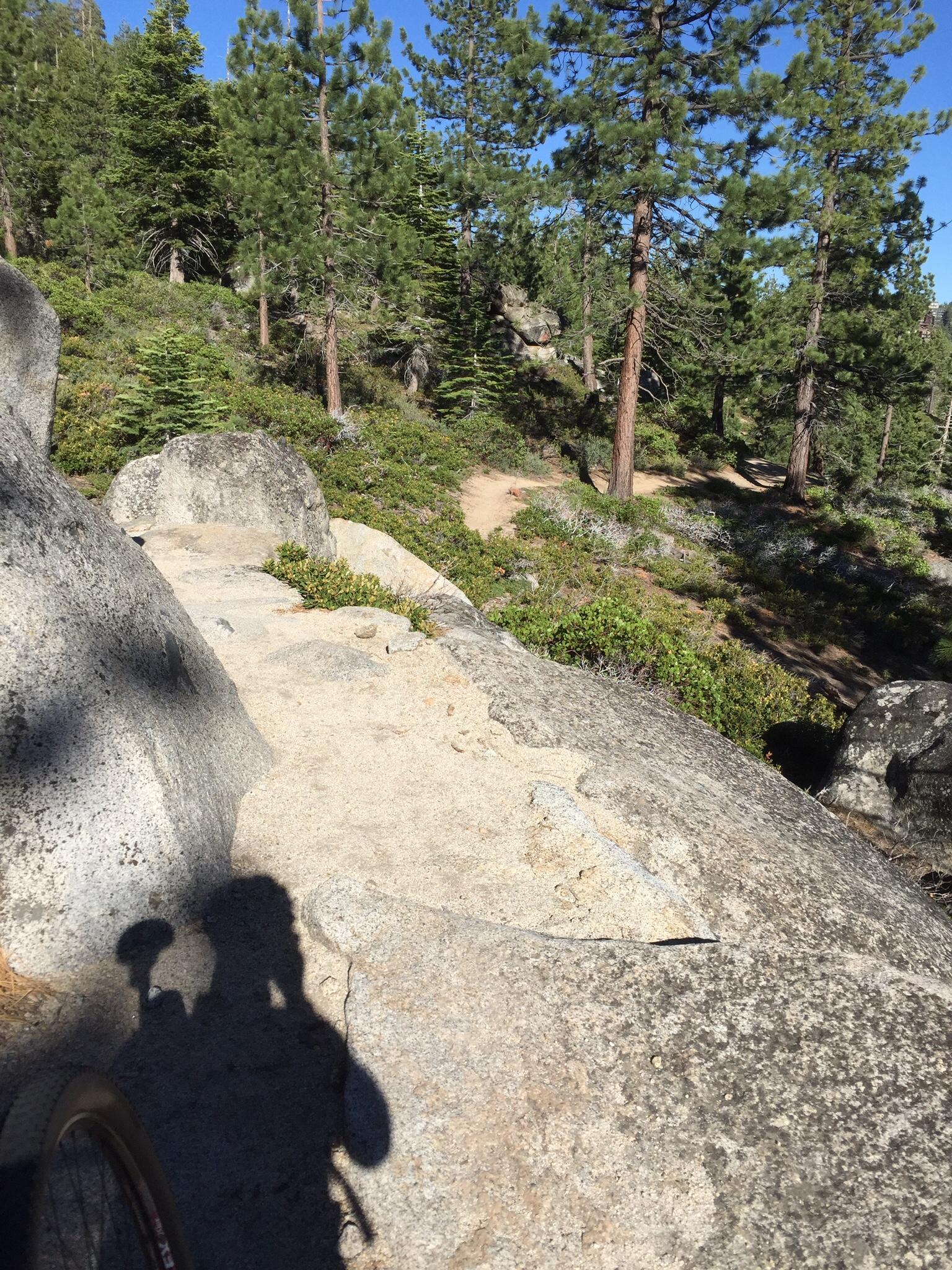 Alt text: A rocky terrain with a path winding through a forest of tall pine trees under a clear blue sky. A shadow of a cyclist is visible in the foreground, indicating the perspective from a bike. Tahoe Rim Trail: Spooner Summit to Kingsbury Grade mountain bike trail.