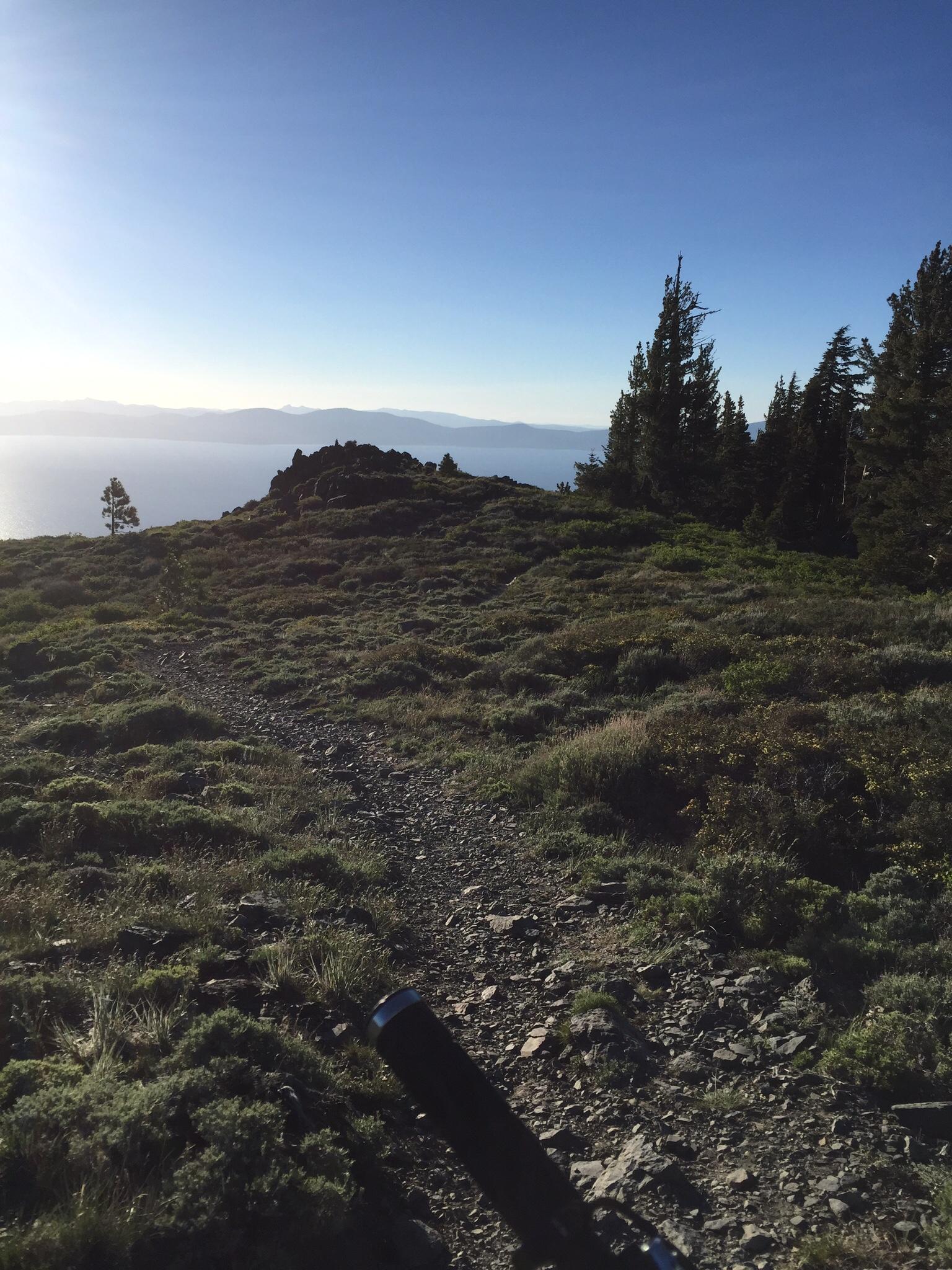 A scenic view of a rocky trail leading through a lush, green landscape at the edge of a lake, with distant mountains under a clear blue sky. Sunlight illuminates the path, enhancing the vibrant colors of the vegetation. Tahoe Rim Trail: Spooner Summit to Kingsbury Grade mountain bike trail.