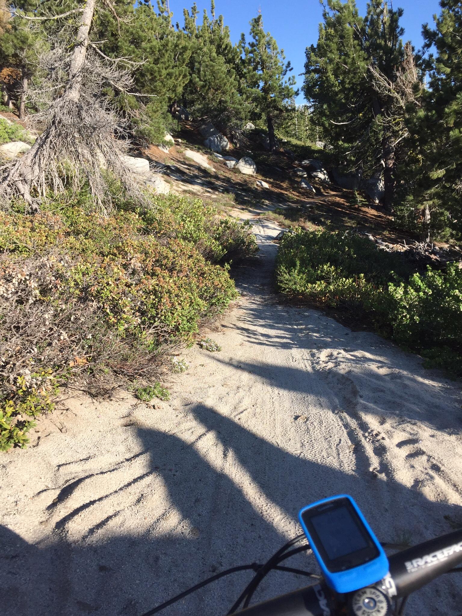 A sandy bike trail winding through a forested area with green bushes and tall trees under a clear blue sky. A bike's handlebar is visible in the foreground, with a GPS device displaying information. Shadows from nearby trees stretch across the path. Tahoe Rim Trail: Tahoe Meadows to Tunnel Creek Road / Flume Trail mountain bike trail.