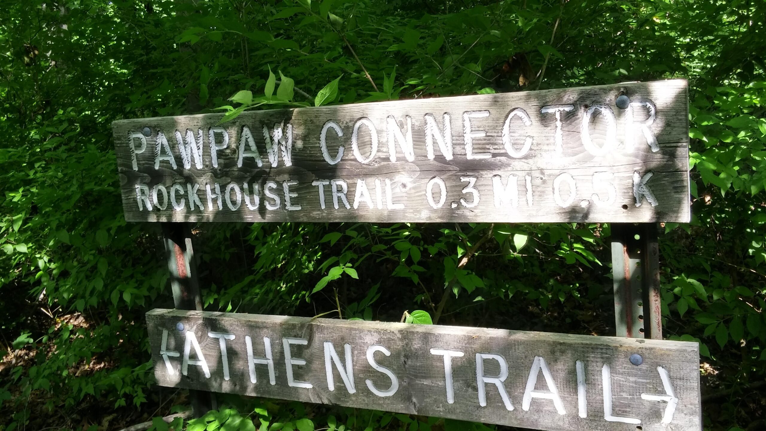 A wooden trail sign in a lush green forest, indicating the direction to the Pawpaw Connector and Rockhouse Trail (0.3 miles) along with the Athens Trail, which is also marked. The sign shows signs of weathering and wear, surrounded by dense foliage. Sells Park mountain bike trail.