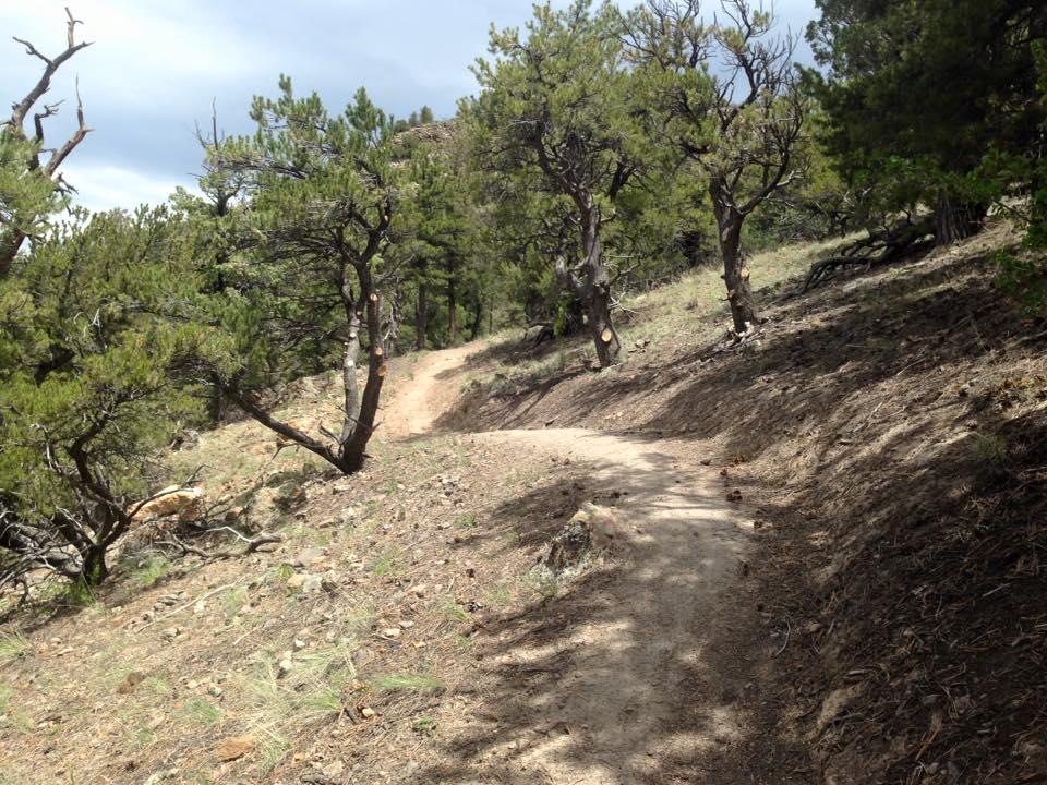 A winding dirt trail through a wooded area, flanked by green trees and rocky terrain. The path curves gently to the right, surrounded by sparse vegetation and patches of soil. The scene captures a tranquil outdoor setting, inviting exploration. Cottonwood mountain bike trail.