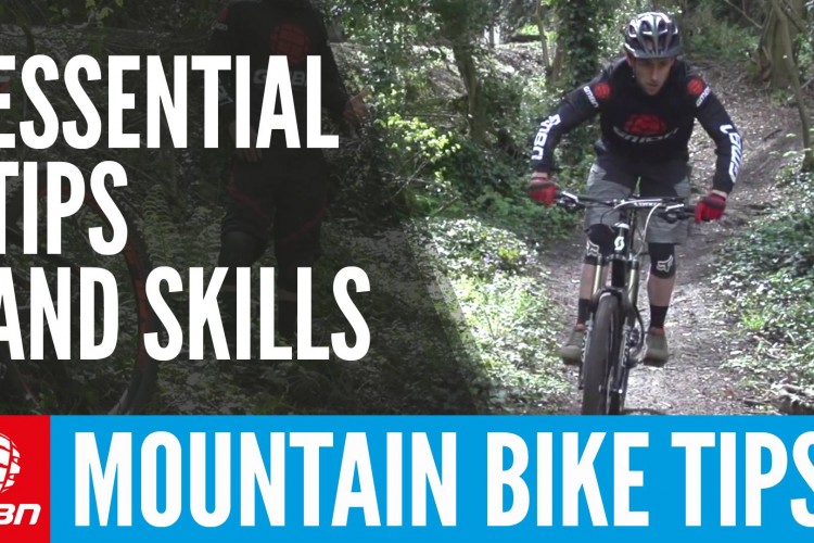 5 Tips for Biking with Your Dog Singletracks Mountain Bike News