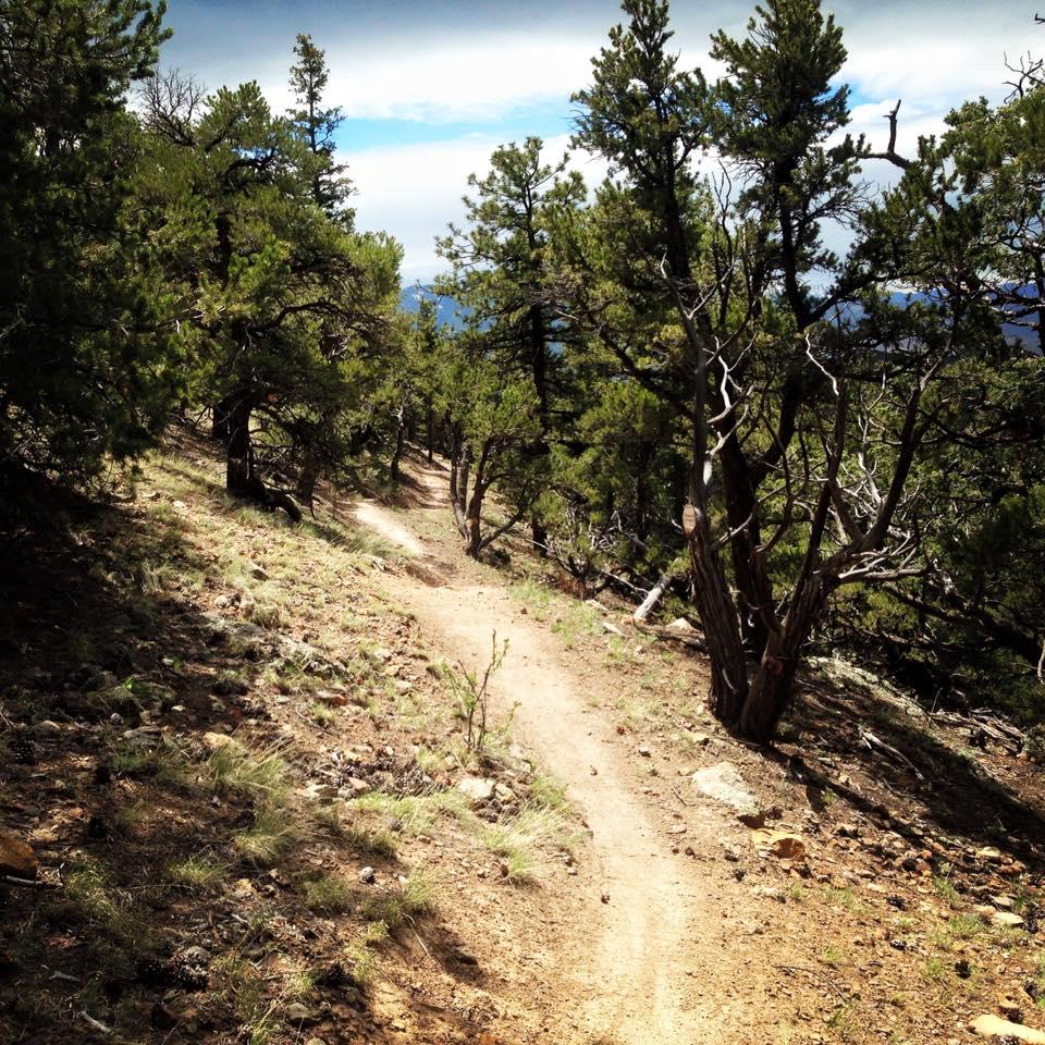 A winding dirt trail surrounded by lush green trees and rocky terrain, set against a backdrop of cloudy blue skies. The path leads into a forested area, showcasing the natural beauty of the outdoors. Cottonwood mountain bike trail.